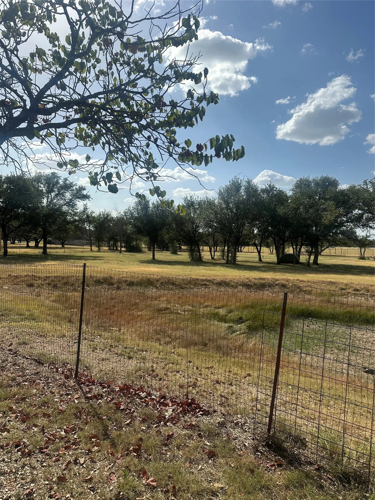 Single Family Residence For Sale in Brown County , 5251 FM 2126, Brownwood, Texas 76801, 3 Bedroom, 2 Bathroom, 2 Garage spaces, 2,060 Sqft, built in 1992, mls#21356310, Real Estate Agent in Brownwood, Homes For Sale in Brown county, Homes For Sale in Brownwood, Realtor in Brownwood Texas, Real Estate Brokerage Independent Realty Texas, Luminita Cordes Realtor