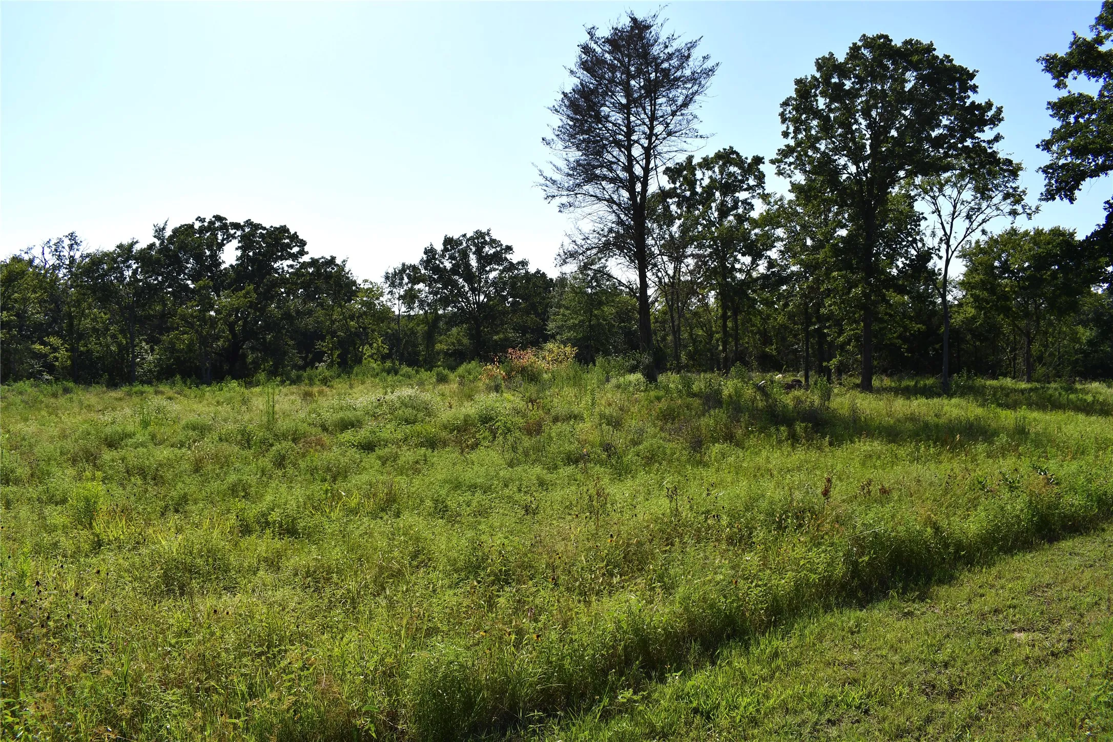 Unimproved Land For Sale in Hopkins County , 146 Jake Lane, Sulphur Springs, Texas 75482, 0, 0, Garage spaces, 0 Sqft, built in 0, Price $85,000, mls#21360934, Real Estate Agent in Sulphur Springs, Homes For Sale in Hopkins county, Homes For Sale in Sulphur Springs, Realtor in Sulphur Springs Texas, Real Estate Brokerage Independent Realty Texas, Luminita Cordes Realtor