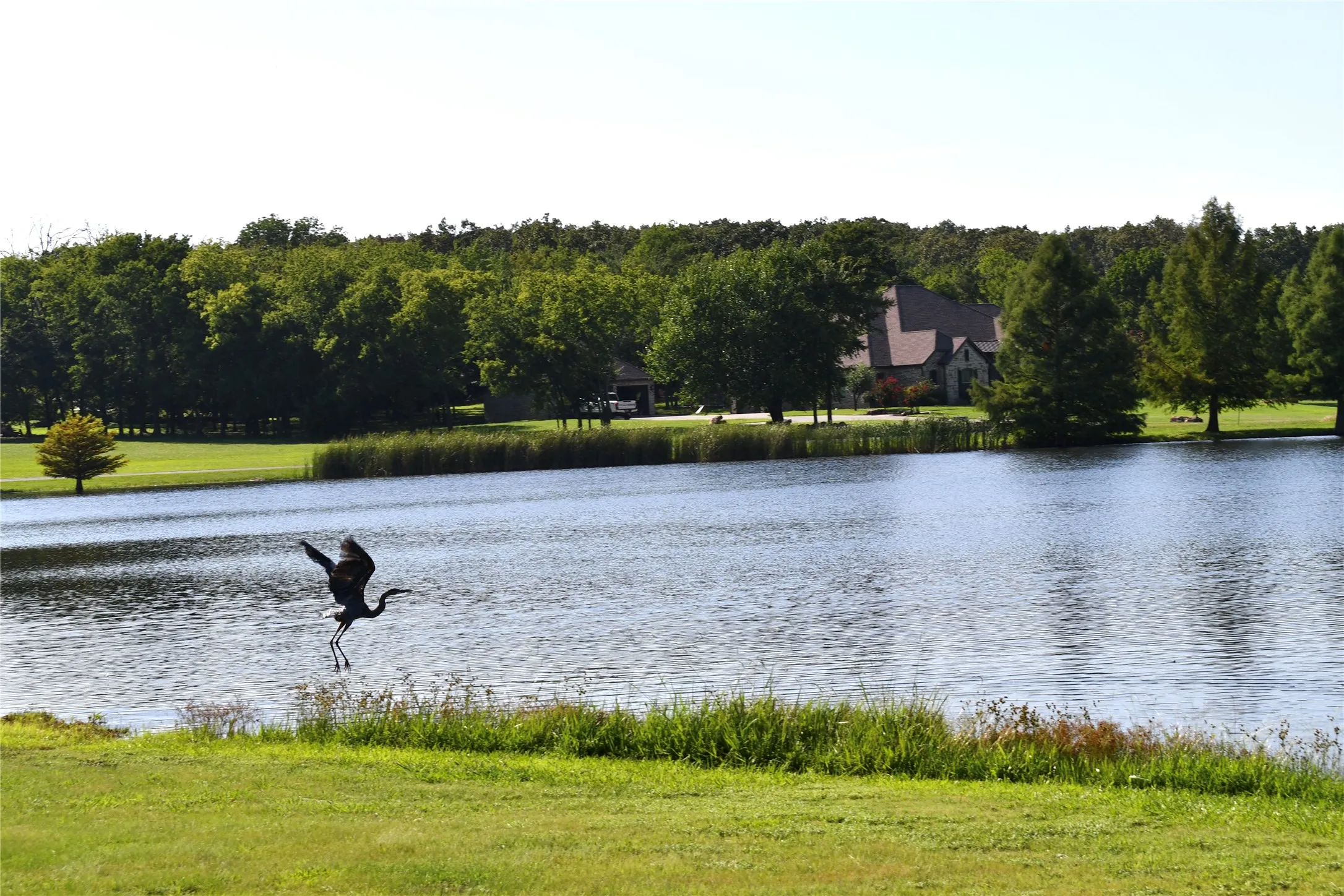 Unimproved Land For Sale in Hopkins County , 146 Jake Lane, Sulphur Springs, Texas 75482, 0, 0, Garage spaces, 0 Sqft, built in 0, Price $85,000, mls#21360934, Real Estate Agent in Sulphur Springs, Homes For Sale in Hopkins county, Homes For Sale in Sulphur Springs, Realtor in Sulphur Springs Texas, Real Estate Brokerage Independent Realty Texas, Luminita Cordes Realtor