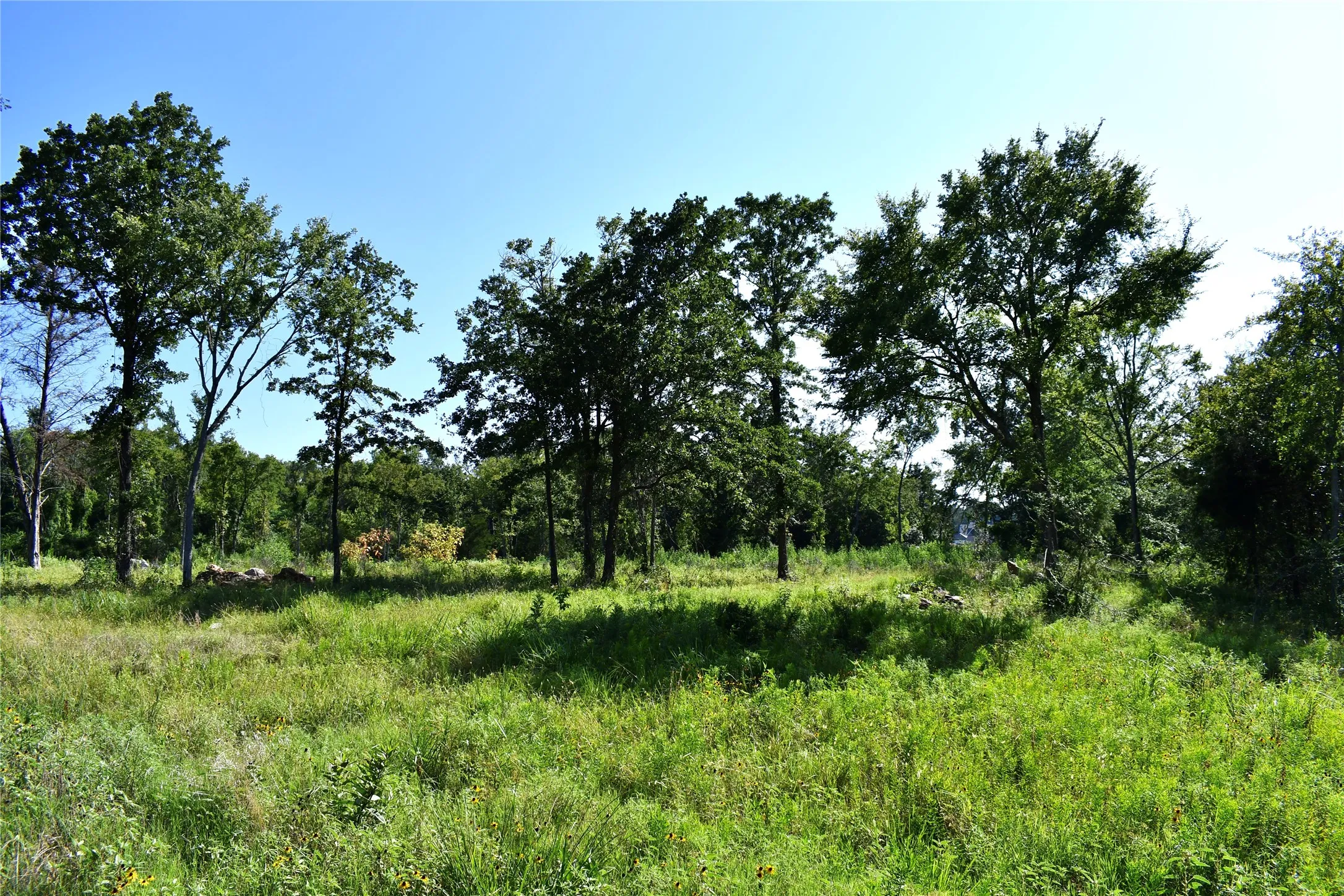 Unimproved Land For Sale in Hopkins County , 146 Jake Lane, Sulphur Springs, Texas 75482, 0, 0, Garage spaces, 0 Sqft, built in 0, Price $85,000, mls#21360934, Real Estate Agent in Sulphur Springs, Homes For Sale in Hopkins county, Homes For Sale in Sulphur Springs, Realtor in Sulphur Springs Texas, Real Estate Brokerage Independent Realty Texas, Luminita Cordes Realtor