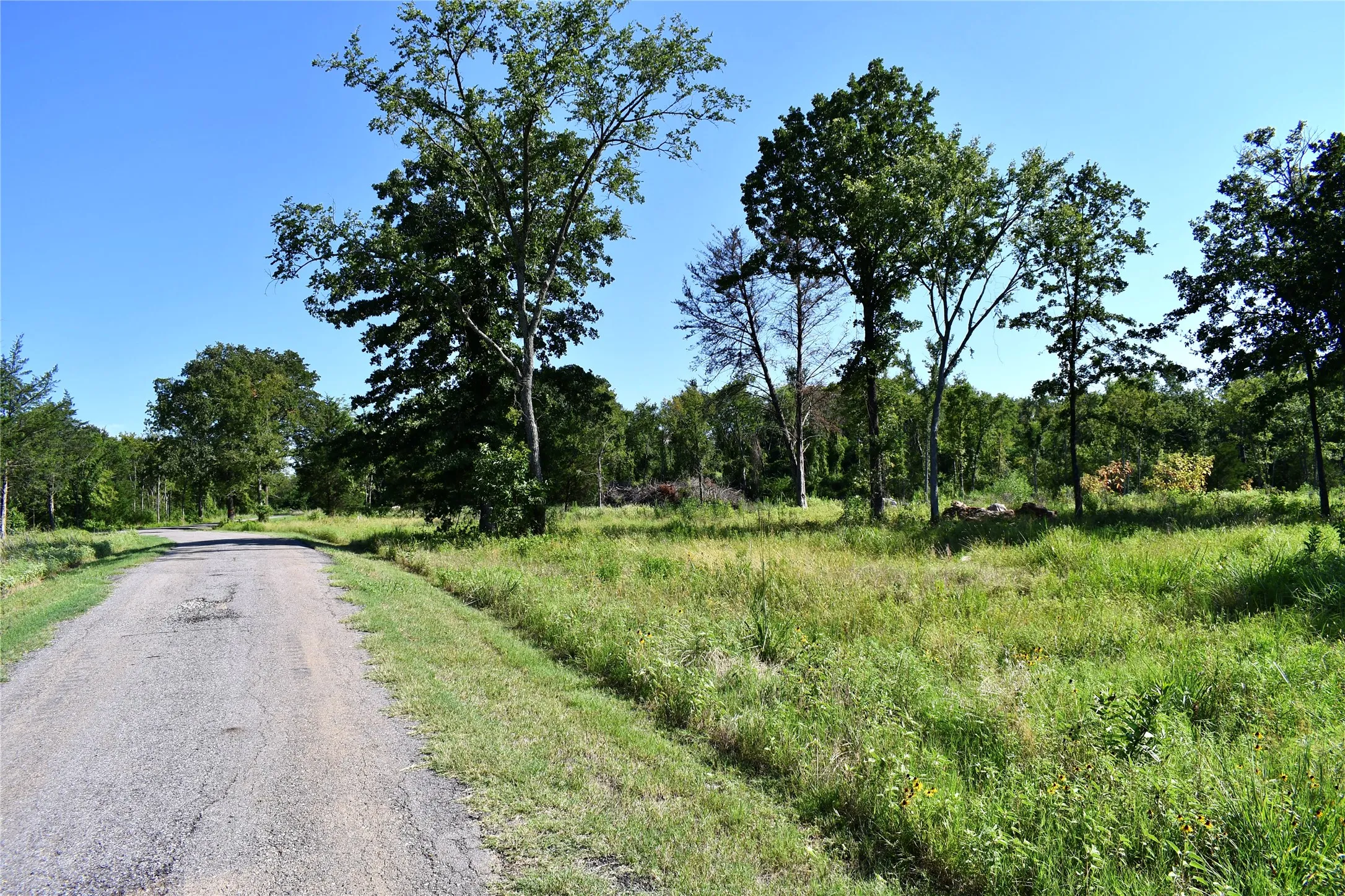 Unimproved Land For Sale in Hopkins County , 146 Jake Lane, Sulphur Springs, Texas 75482, 0, 0, Garage spaces, 0 Sqft, built in 0, Price $85,000, mls#21360934, Real Estate Agent in Sulphur Springs, Homes For Sale in Hopkins county, Homes For Sale in Sulphur Springs, Realtor in Sulphur Springs Texas, Real Estate Brokerage Independent Realty Texas, Luminita Cordes Realtor