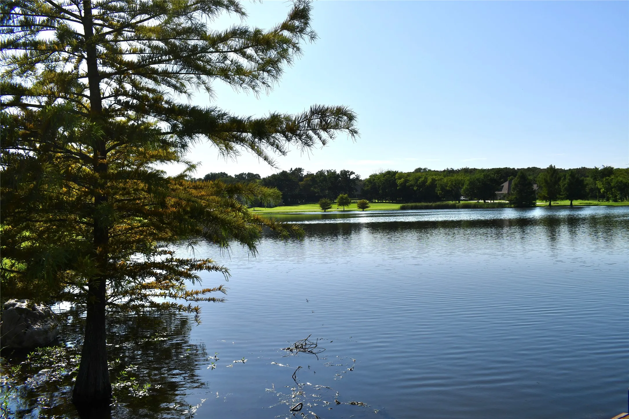 Unimproved Land For Sale in Hopkins County , 146 Jake Lane, Sulphur Springs, Texas 75482, 0, 0, Garage spaces, 0 Sqft, built in 0, Price $85,000, mls#21360934, Real Estate Agent in Sulphur Springs, Homes For Sale in Hopkins county, Homes For Sale in Sulphur Springs, Realtor in Sulphur Springs Texas, Real Estate Brokerage Independent Realty Texas, Luminita Cordes Realtor
