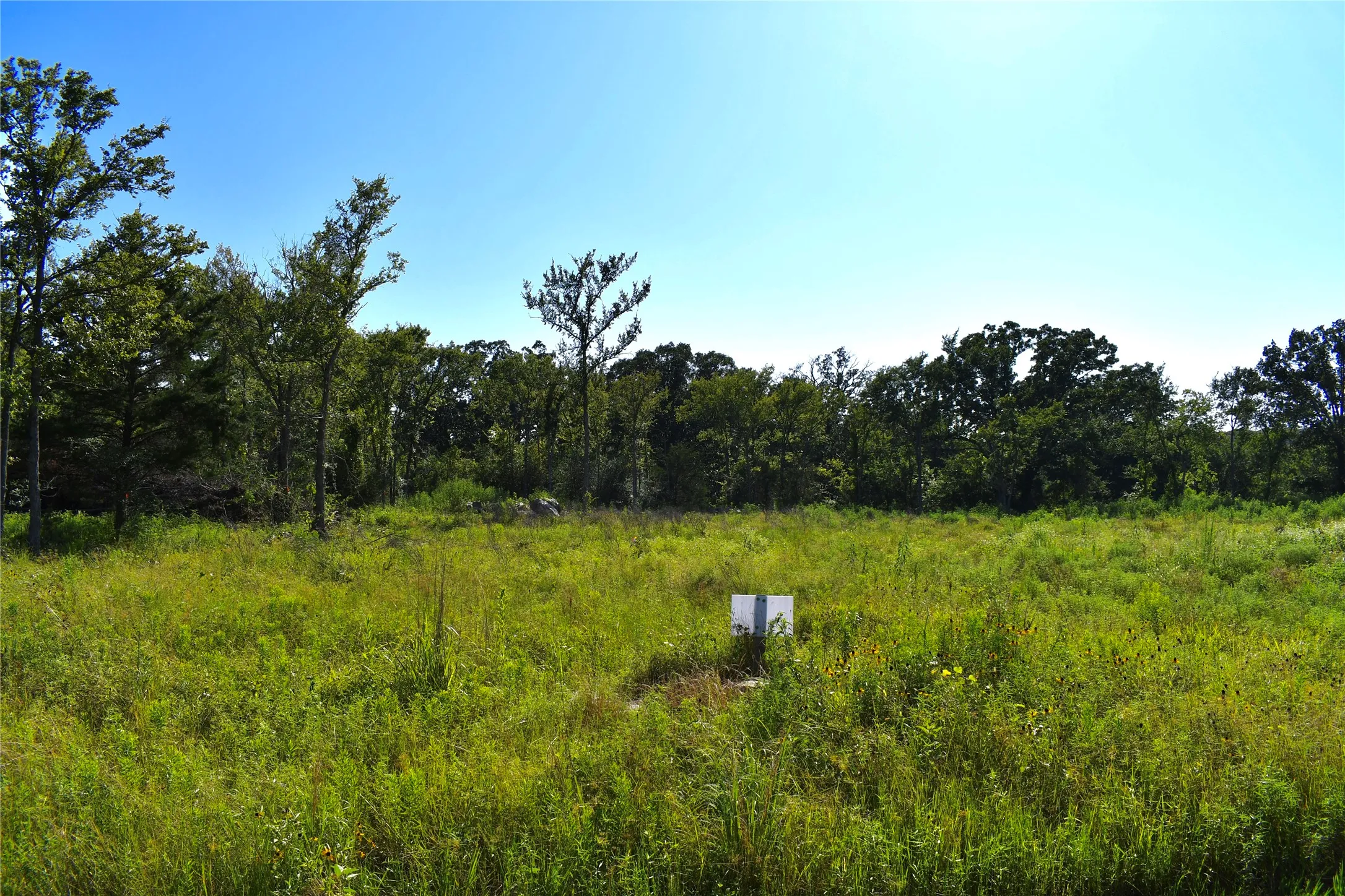 Unimproved Land For Sale in Hopkins County , 146 Jake Lane, Sulphur Springs, Texas 75482, 0, 0, Garage spaces, 0 Sqft, built in 0, Price $85,000, mls#21360934, Real Estate Agent in Sulphur Springs, Homes For Sale in Hopkins county, Homes For Sale in Sulphur Springs, Realtor in Sulphur Springs Texas, Real Estate Brokerage Independent Realty Texas, Luminita Cordes Realtor