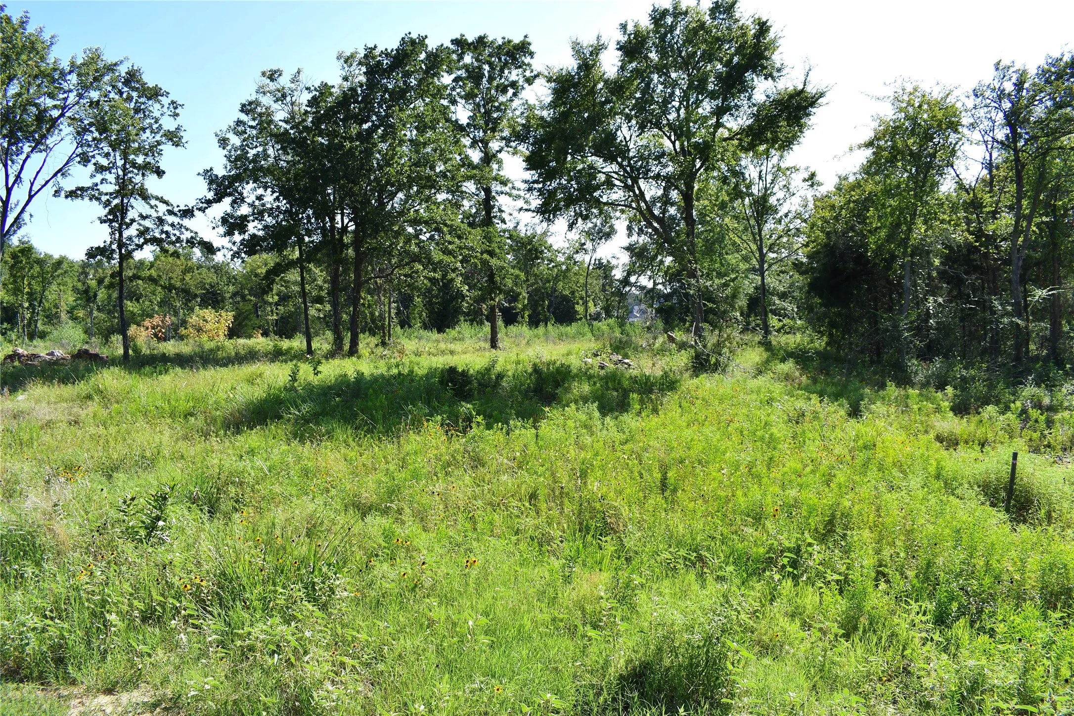 Unimproved Land For Sale in Hopkins County , 146 Jake Lane, Sulphur Springs, Texas 75482, 0, 0, Garage spaces, 0 Sqft, built in 0, Price $85,000, mls#21360934, Real Estate Agent in Sulphur Springs, Homes For Sale in Hopkins county, Homes For Sale in Sulphur Springs, Realtor in Sulphur Springs Texas, Real Estate Brokerage Independent Realty Texas, Luminita Cordes Realtor