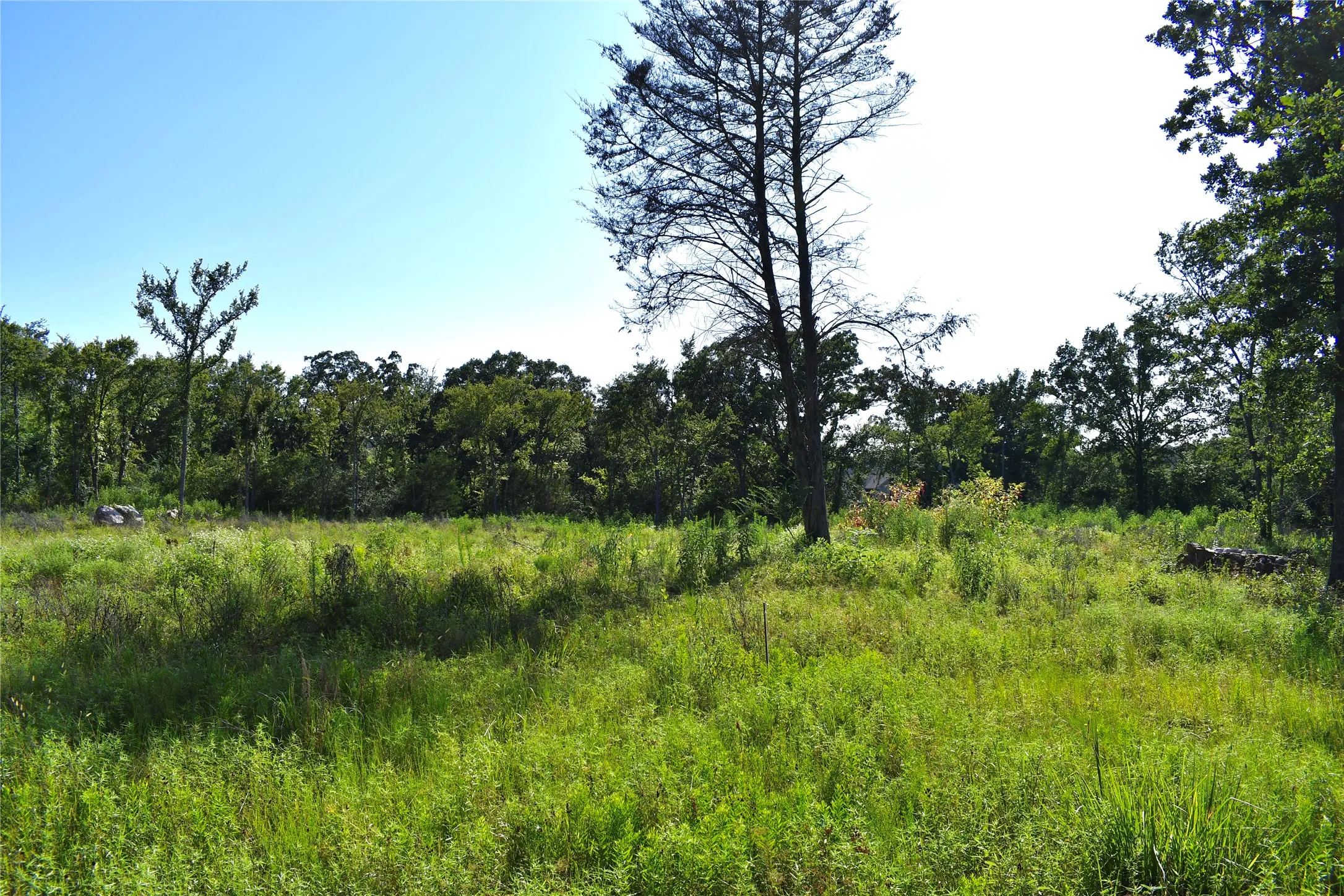 Unimproved Land For Sale in Hopkins County , 146 Jake Lane, Sulphur Springs, Texas 75482, 0, 0, Garage spaces, 0 Sqft, built in 0, Price $85,000, mls#21360934, Real Estate Agent in Sulphur Springs, Homes For Sale in Hopkins county, Homes For Sale in Sulphur Springs, Realtor in Sulphur Springs Texas, Real Estate Brokerage Independent Realty Texas, Luminita Cordes Realtor