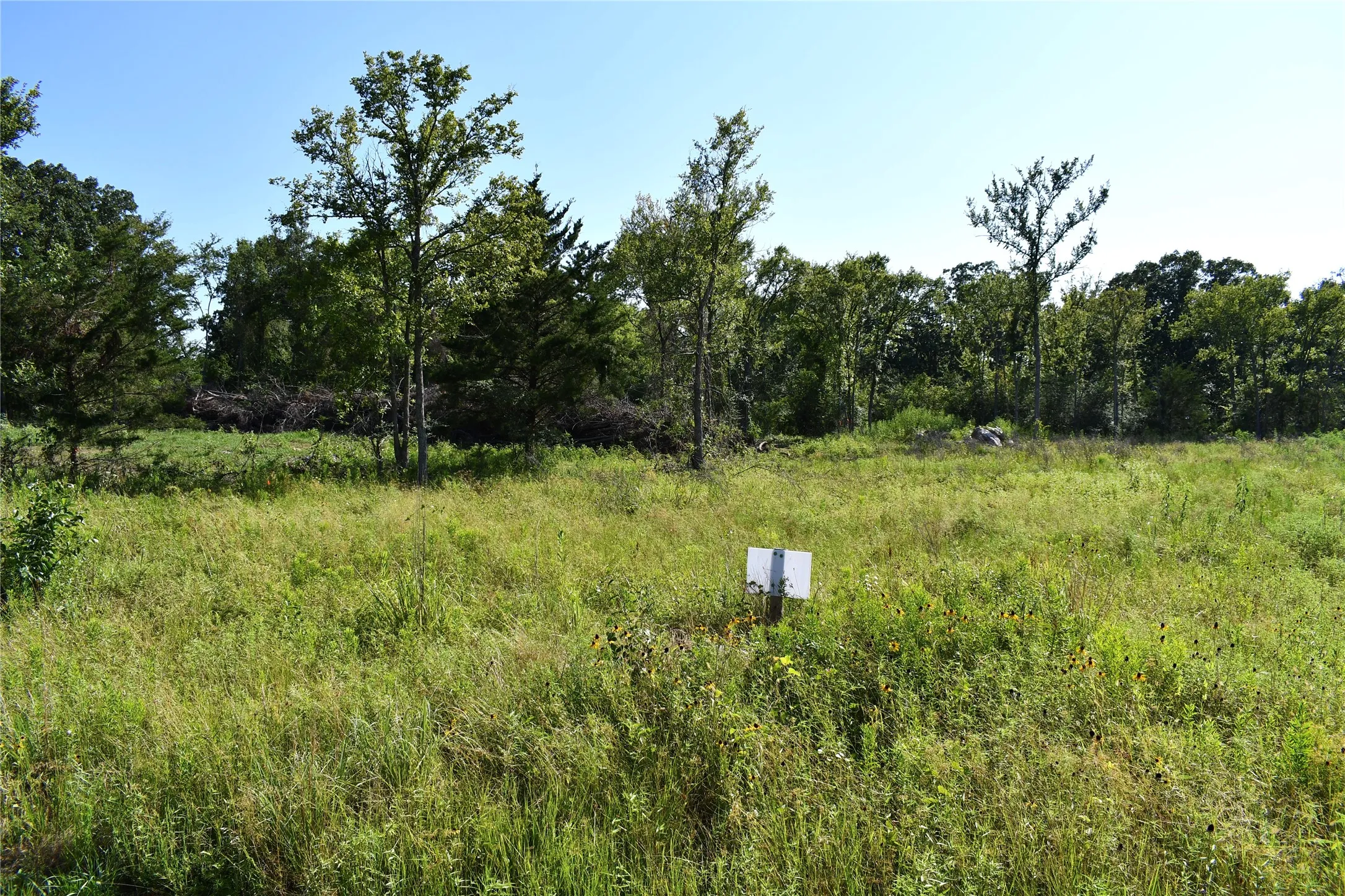 Unimproved Land For Sale in Hopkins County , 146 Jake Lane, Sulphur Springs, Texas 75482, 0, 0, Garage spaces, 0 Sqft, built in 0, Price $85,000, mls#21360934, Real Estate Agent in Sulphur Springs, Homes For Sale in Hopkins county, Homes For Sale in Sulphur Springs, Realtor in Sulphur Springs Texas, Real Estate Brokerage Independent Realty Texas, Luminita Cordes Realtor