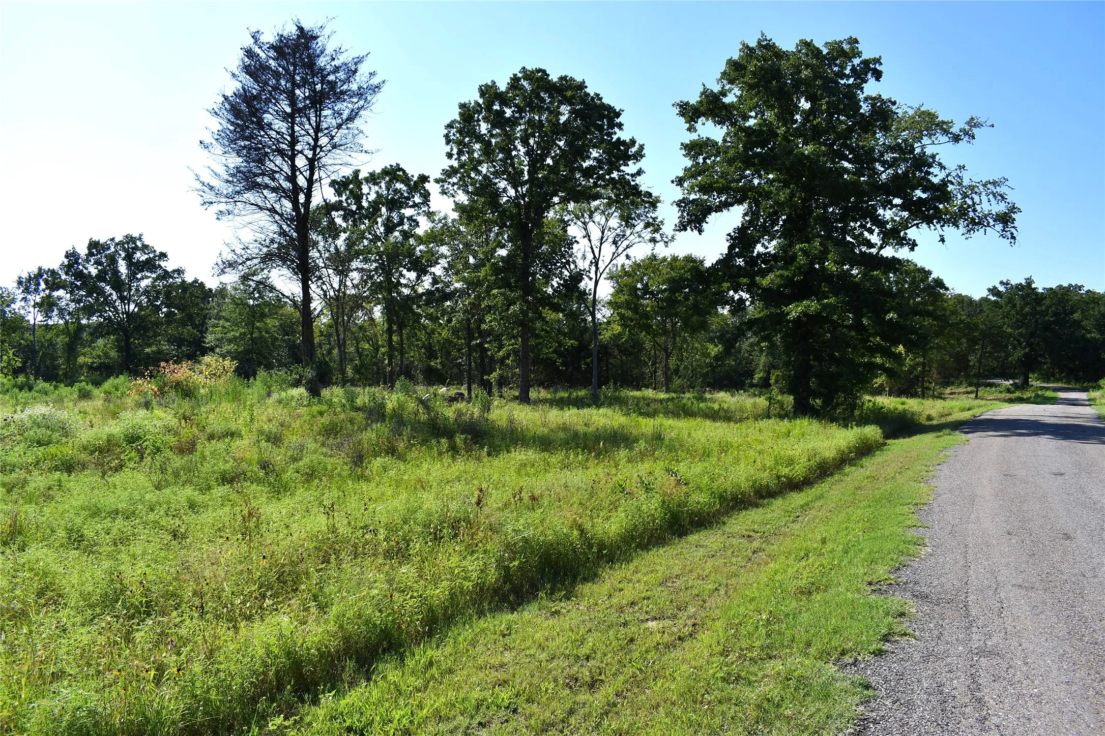 Unimproved Land For Sale in Hopkins County , 146 Jake Lane, Sulphur Springs, Texas 75482, 0, 0, Garage spaces, 0 Sqft, built in 0, Price $85,000, mls#21360934, Real Estate Agent in Sulphur Springs, Homes For Sale in Hopkins county, Homes For Sale in Sulphur Springs, Realtor in Sulphur Springs Texas, Real Estate Brokerage Independent Realty Texas, Luminita Cordes Realtor