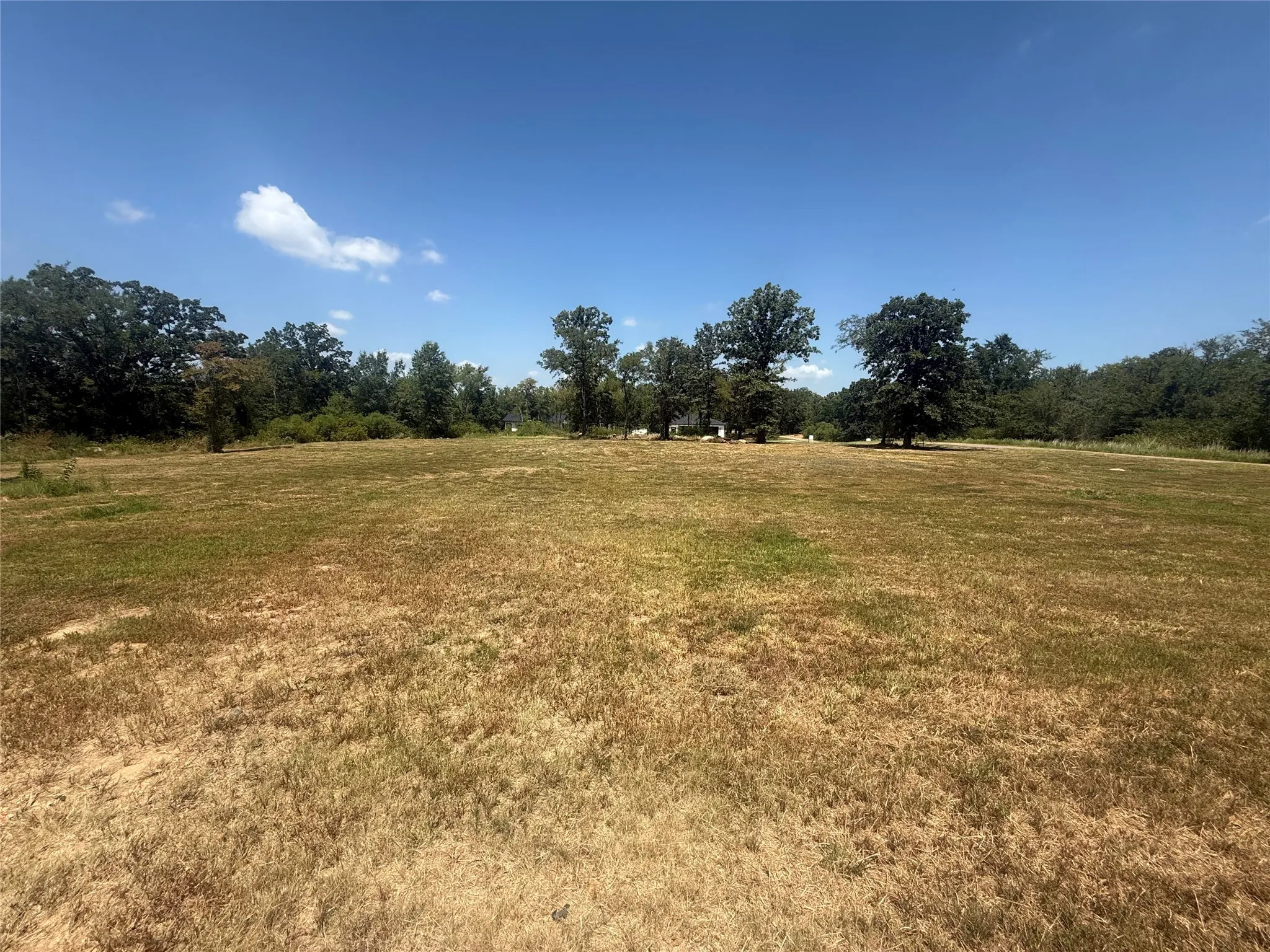 Unimproved Land For Sale in Hopkins County , 146 Jake Lane, Sulphur Springs, Texas 75482, 0, 0, Garage spaces, 0 Sqft, built in 0, Price $85,000, mls#21360934, Real Estate Agent in Sulphur Springs, Homes For Sale in Hopkins county, Homes For Sale in Sulphur Springs, Realtor in Sulphur Springs Texas, Real Estate Brokerage Independent Realty Texas, Luminita Cordes Realtor