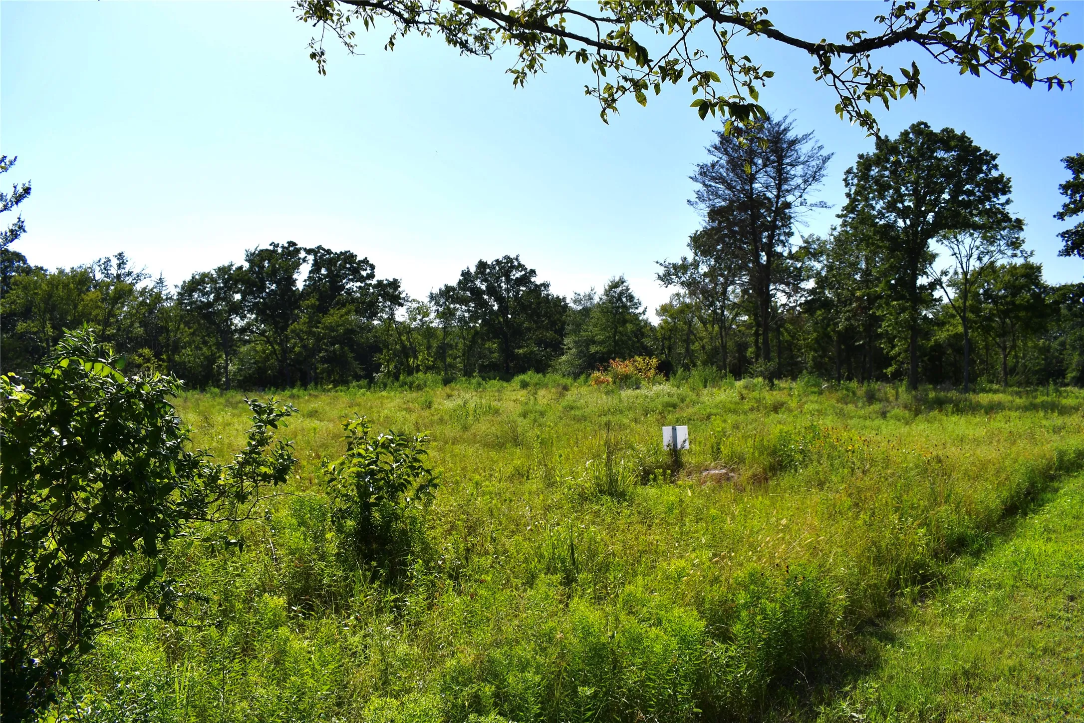 Unimproved Land For Sale in Hopkins County , 146 Jake Lane, Sulphur Springs, Texas 75482, 0, 0, Garage spaces, 0 Sqft, built in 0, Price $85,000, mls#21360934, Real Estate Agent in Sulphur Springs, Homes For Sale in Hopkins county, Homes For Sale in Sulphur Springs, Realtor in Sulphur Springs Texas, Real Estate Brokerage Independent Realty Texas, Luminita Cordes Realtor