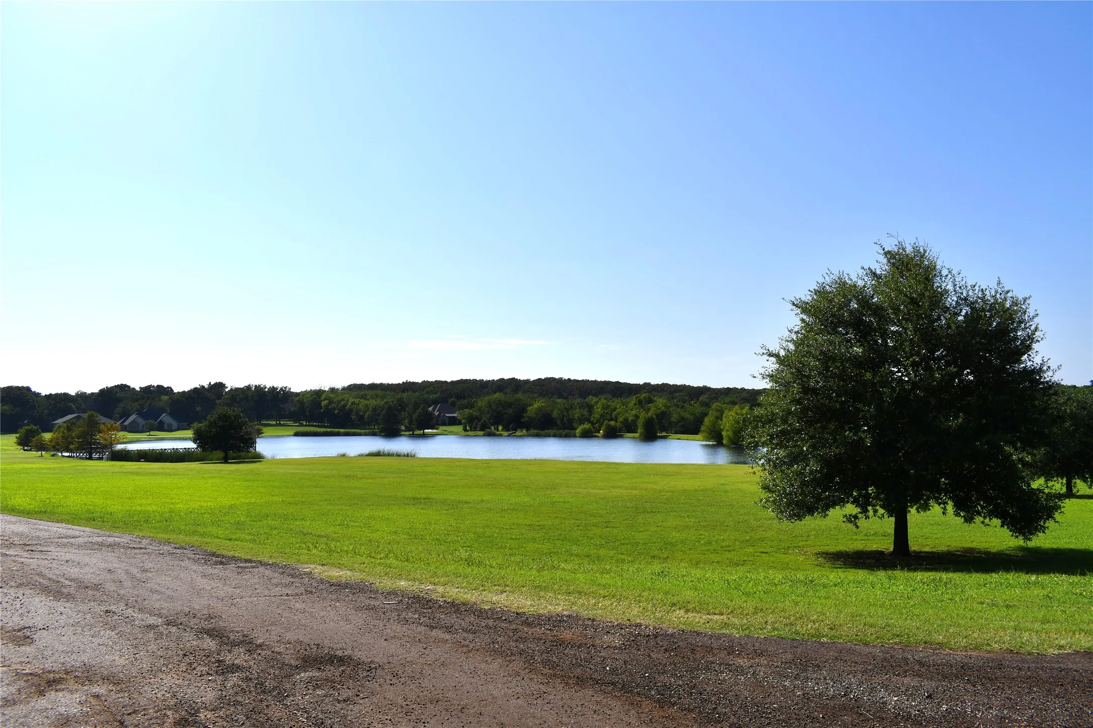 Unimproved Land For Sale in Hopkins County , 146 Jake Lane, Sulphur Springs, Texas 75482, 0, 0, Garage spaces, 0 Sqft, built in 0, Price $85,000, mls#21360934, Real Estate Agent in Sulphur Springs, Homes For Sale in Hopkins county, Homes For Sale in Sulphur Springs, Realtor in Sulphur Springs Texas, Real Estate Brokerage Independent Realty Texas, Luminita Cordes Realtor
