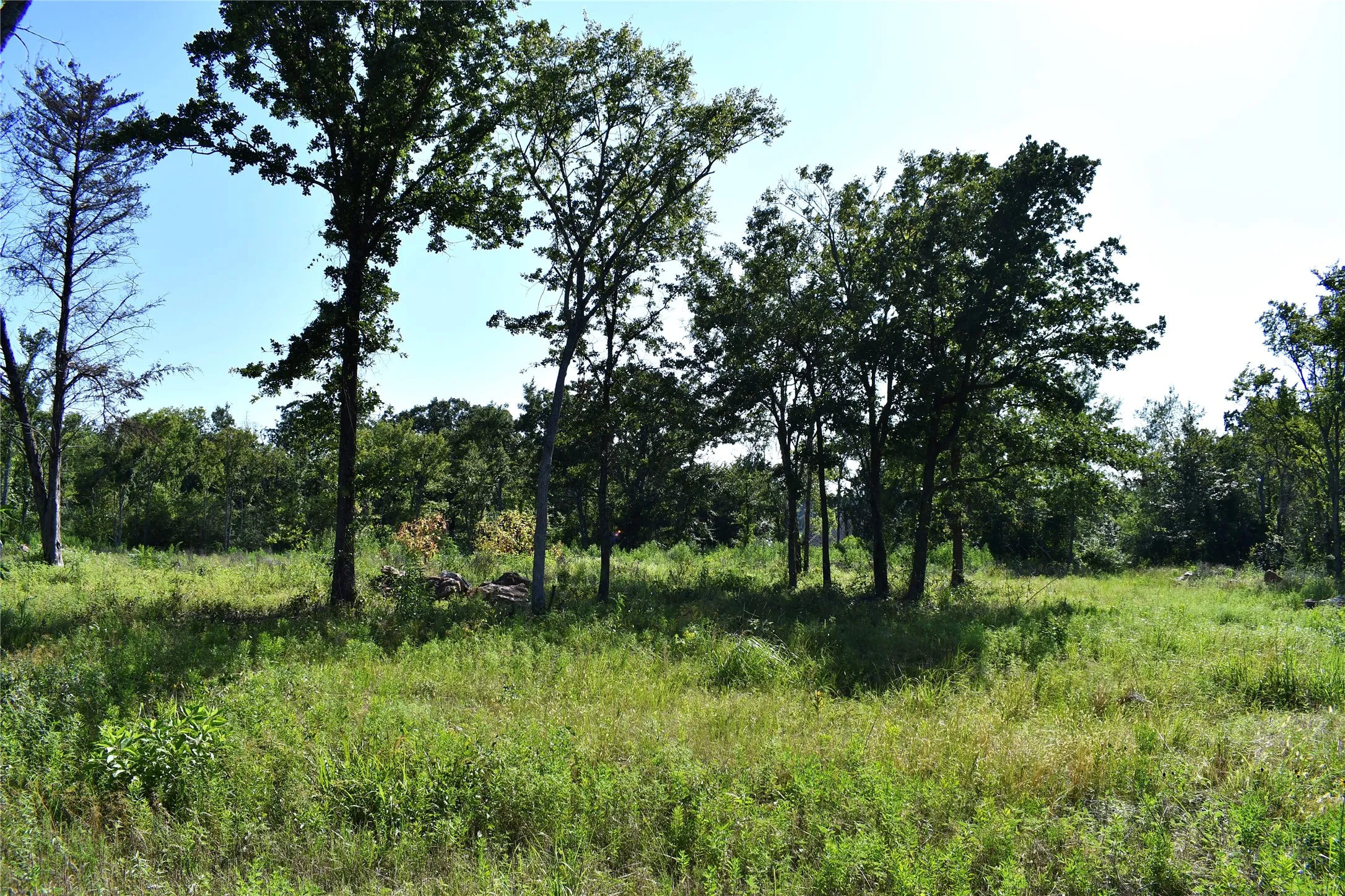 Unimproved Land For Sale in Hopkins County , 146 Jake Lane, Sulphur Springs, Texas 75482, 0, 0, Garage spaces, 0 Sqft, built in 0, Price $85,000, mls#21360934, Real Estate Agent in Sulphur Springs, Homes For Sale in Hopkins county, Homes For Sale in Sulphur Springs, Realtor in Sulphur Springs Texas, Real Estate Brokerage Independent Realty Texas, Luminita Cordes Realtor