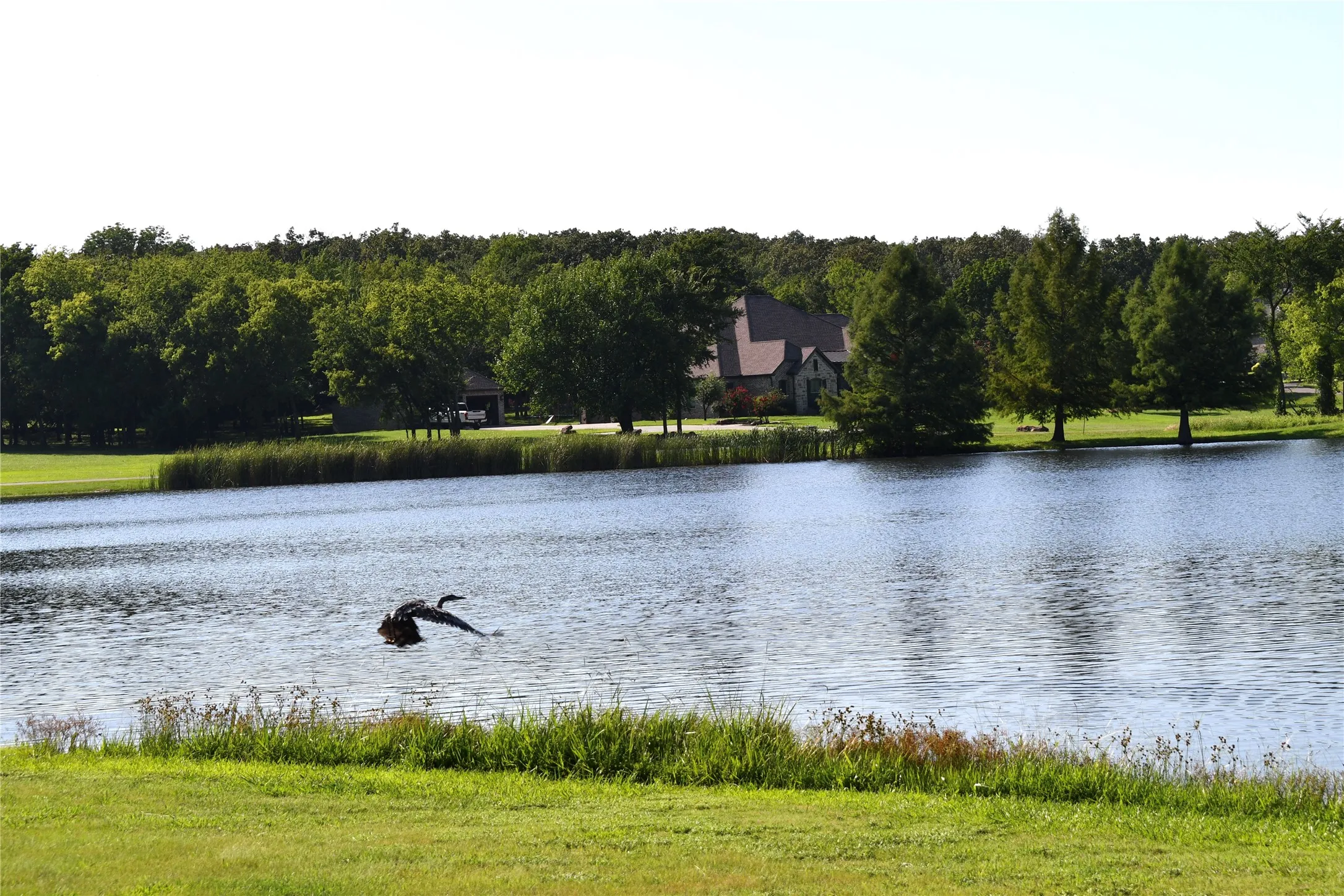 Unimproved Land For Sale in Hopkins County , 146 Jake Lane, Sulphur Springs, Texas 75482, 0, 0, Garage spaces, 0 Sqft, built in 0, Price $85,000, mls#21360934, Real Estate Agent in Sulphur Springs, Homes For Sale in Hopkins county, Homes For Sale in Sulphur Springs, Realtor in Sulphur Springs Texas, Real Estate Brokerage Independent Realty Texas, Luminita Cordes Realtor