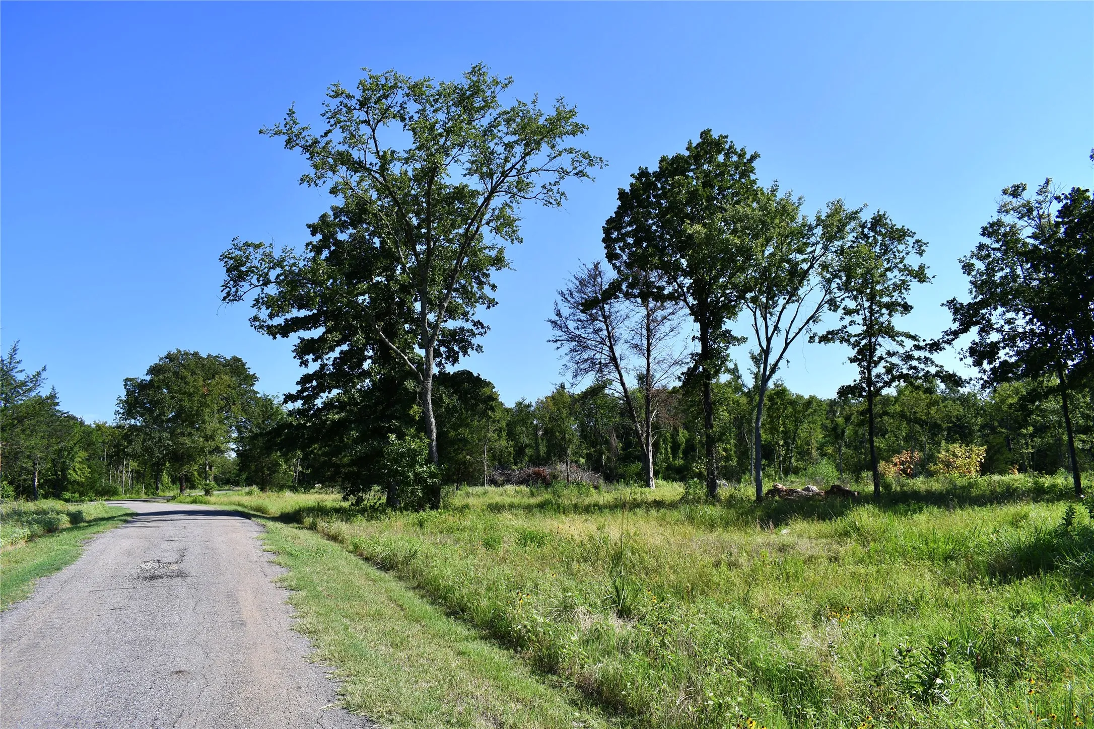 Unimproved Land For Sale in Hopkins County , 146 Jake Lane, Sulphur Springs, Texas 75482, 0, 0, Garage spaces, 0 Sqft, built in 0, Price $85,000, mls#21360934, Real Estate Agent in Sulphur Springs, Homes For Sale in Hopkins county, Homes For Sale in Sulphur Springs, Realtor in Sulphur Springs Texas, Real Estate Brokerage Independent Realty Texas, Luminita Cordes Realtor