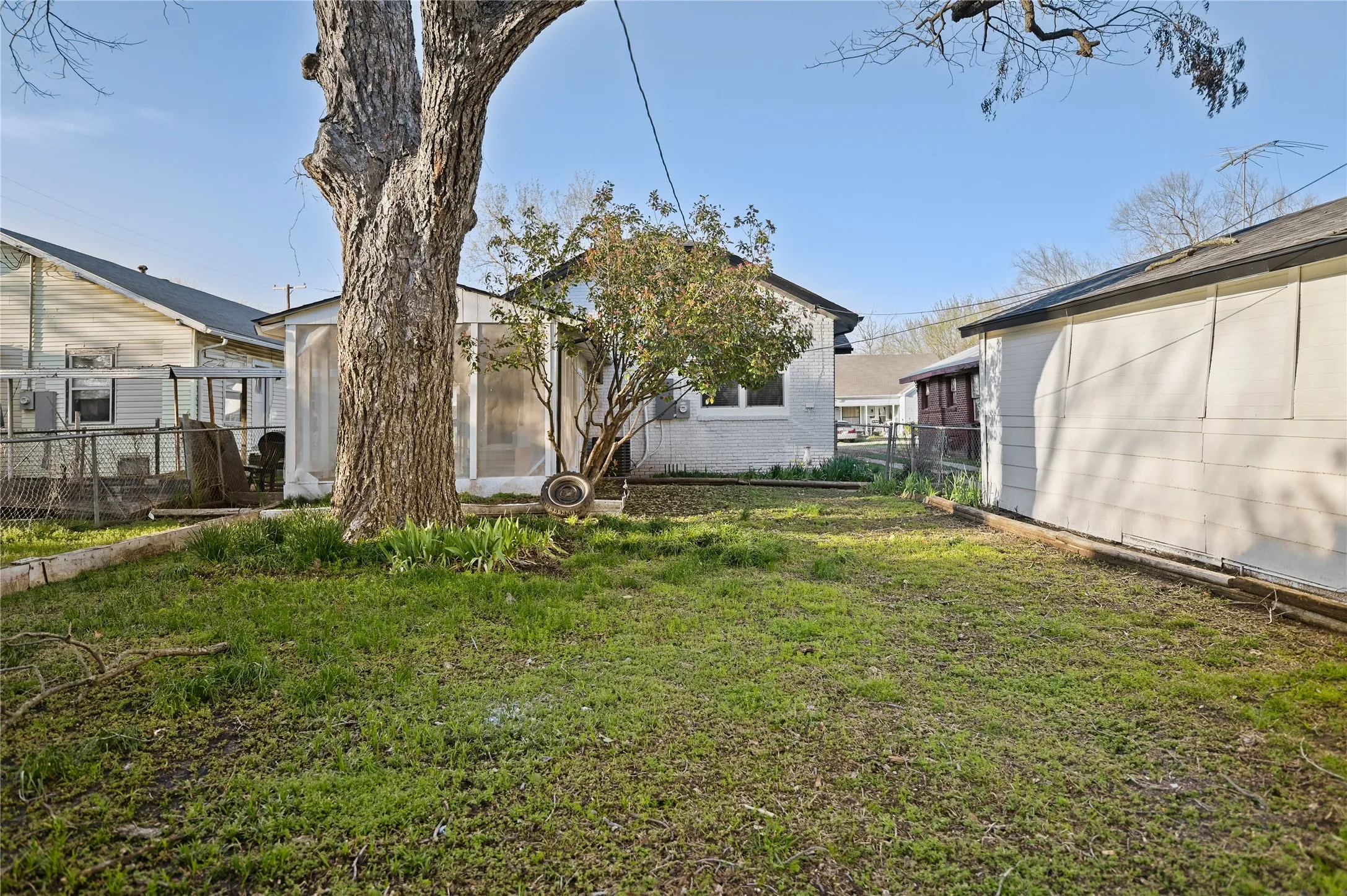 Expansive lawn area with a mature tree