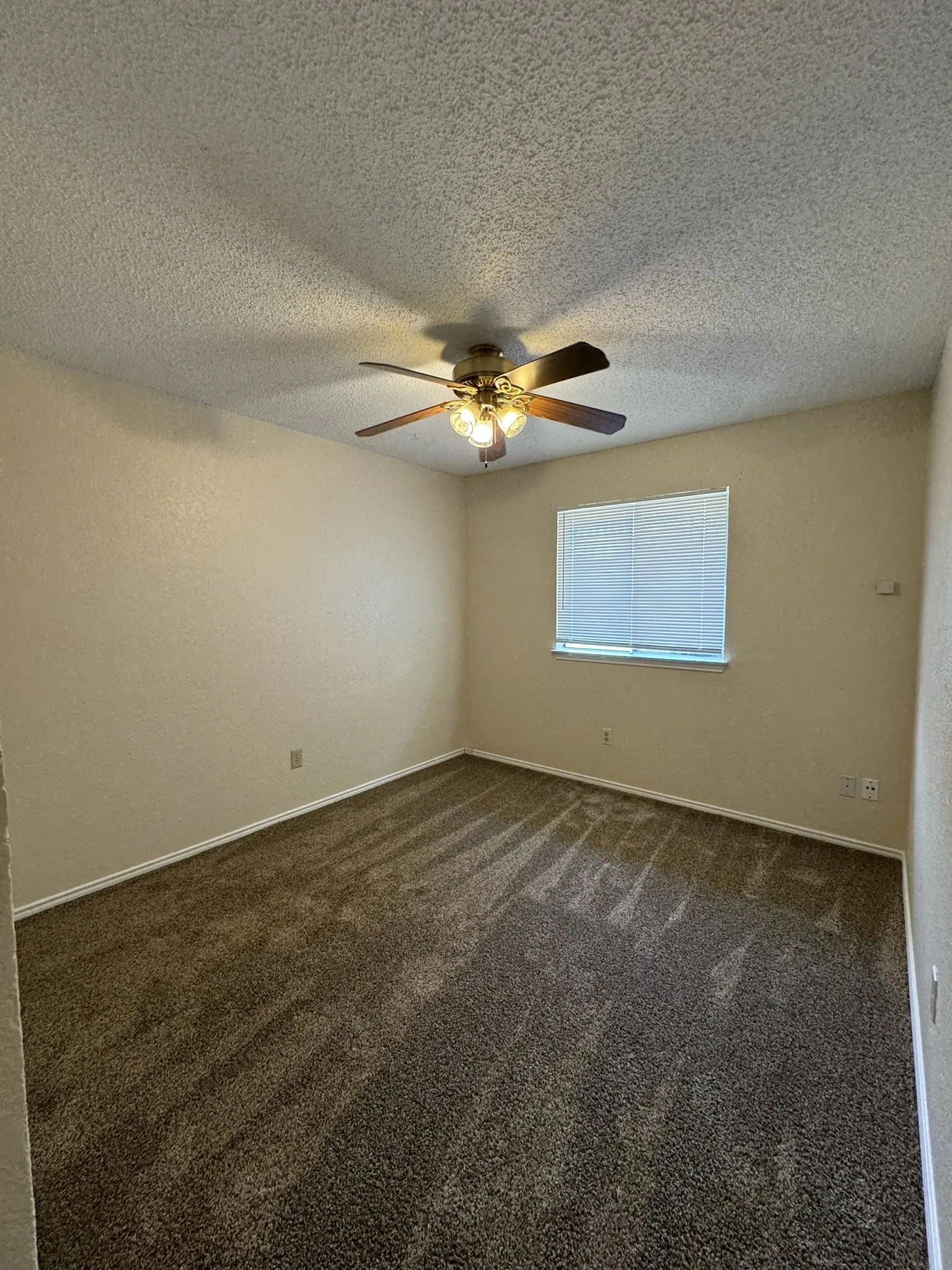 Textured wall finish, ceiling fan with integrated lighting, window with blinds, and neutral tone carpet