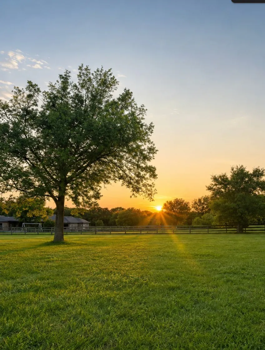 Expansive grassy area featuring mature trees and a wooden fence line