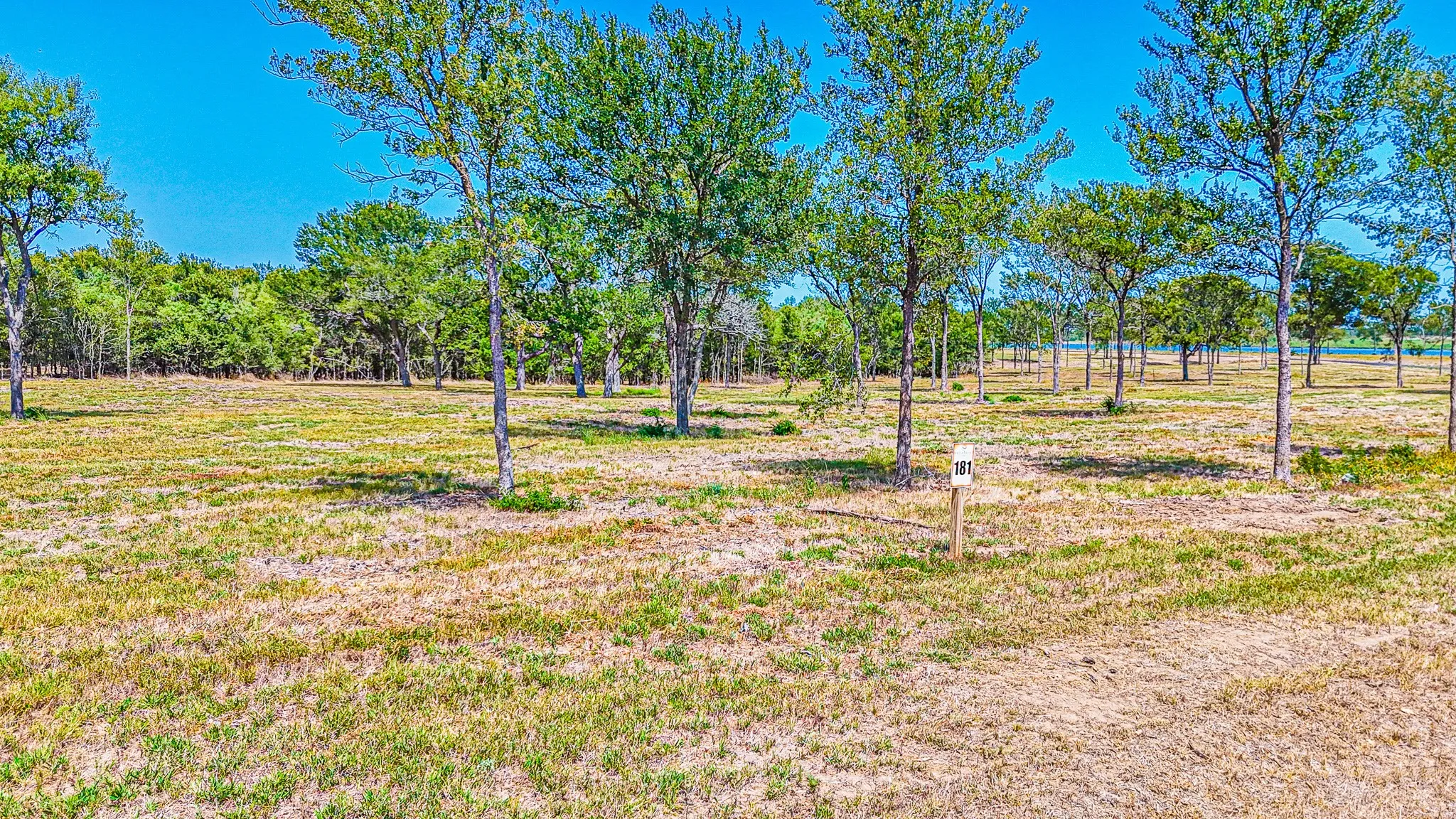 Unimproved Land For Sale in Navarro County , Lot 181 Waterfront Club Drive, Corsicana, Texas 75110, 0, 0, Garage spaces, 0 Sqft, built in 0, mls#21363038, Real Estate Agent in Corsicana, Homes For Sale in Navarro county, Homes For Sale in Corsicana, Realtor in Corsicana Texas, Real Estate Brokerage Independent Realty Texas, Luminita Cordes Realtor