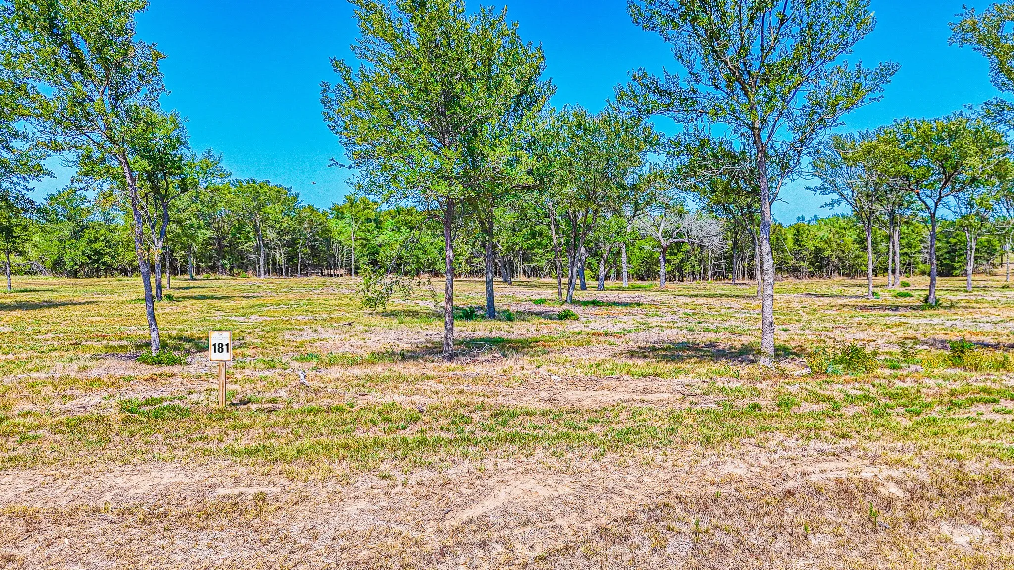 Unimproved Land For Sale in Navarro County , Lot 181 Waterfront Club Drive, Corsicana, Texas 75110, 0, 0, Garage spaces, 0 Sqft, built in 0, mls#21363038, Real Estate Agent in Corsicana, Homes For Sale in Navarro county, Homes For Sale in Corsicana, Realtor in Corsicana Texas, Real Estate Brokerage Independent Realty Texas, Luminita Cordes Realtor