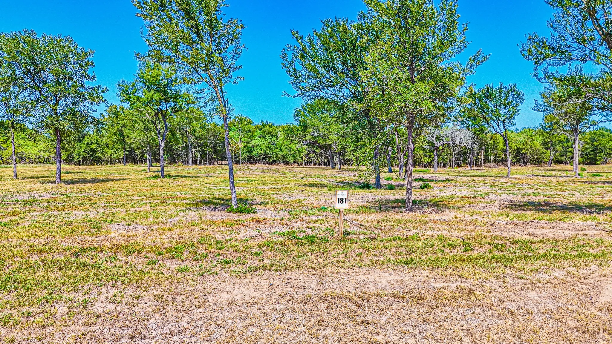 Unimproved Land For Sale in Navarro County , Lot 181 Waterfront Club Drive, Corsicana, Texas 75110, 0, 0, Garage spaces, 0 Sqft, built in 0, mls#21363038, Real Estate Agent in Corsicana, Homes For Sale in Navarro county, Homes For Sale in Corsicana, Realtor in Corsicana Texas, Real Estate Brokerage Independent Realty Texas, Luminita Cordes Realtor