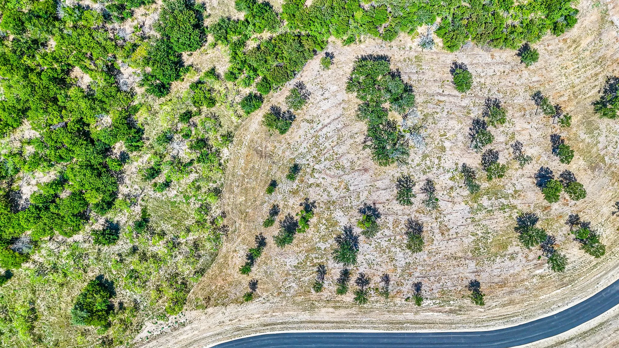 Unimproved Land For Sale in Navarro County , Lot 181 Waterfront Club Drive, Corsicana, Texas 75110, 0, 0, Garage spaces, 0 Sqft, built in 0, mls#21363038, Real Estate Agent in Corsicana, Homes For Sale in Navarro county, Homes For Sale in Corsicana, Realtor in Corsicana Texas, Real Estate Brokerage Independent Realty Texas, Luminita Cordes Realtor