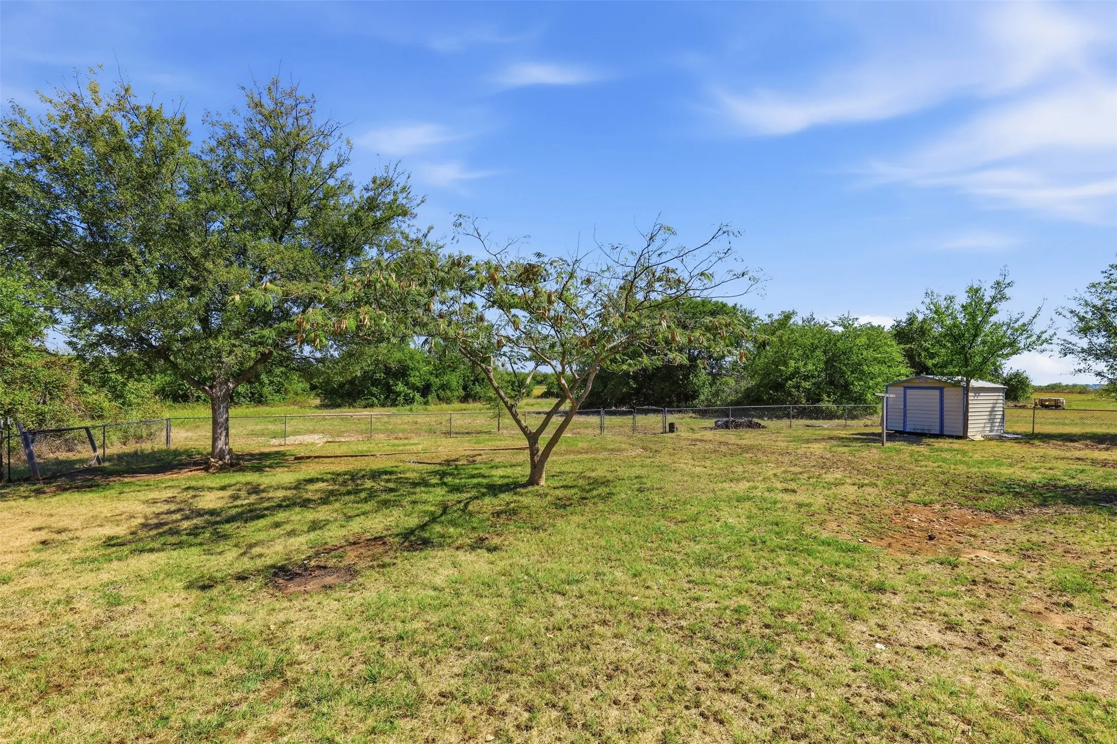 Expansive outdoor area featuring mature trees, a chain-link fence, and a storage shed