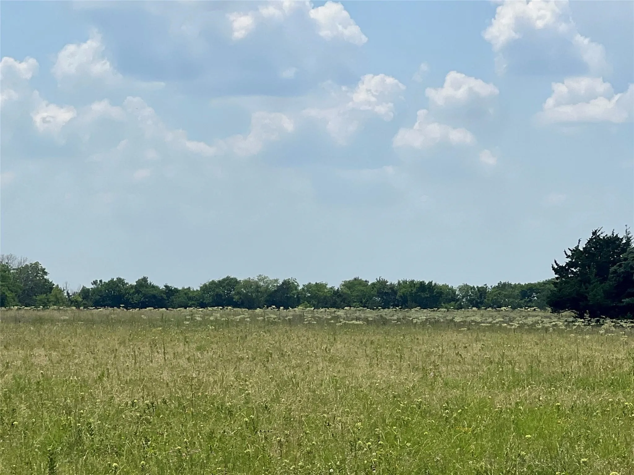 Unimproved Land For Sale in Lamar County , 3442 COUNTY ROAD 15100, Blossom, Texas 75416, 0, 0, Garage spaces, 0 Sqft, built in 0, mls#21362554, Real Estate Agent in Blossom, Homes For Sale in Lamar county, Homes For Sale in Blossom, Realtor in Blossom Texas, Real Estate Brokerage Independent Realty Texas, Luminita Cordes Realtor