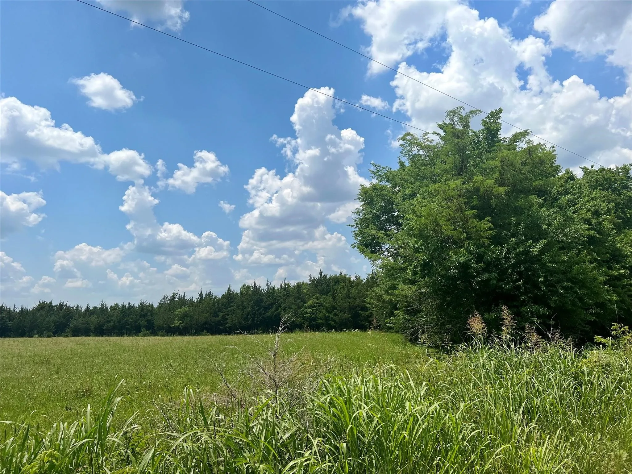 Unimproved Land For Sale in Lamar County , 3442 COUNTY ROAD 15100, Blossom, Texas 75416, 0, 0, Garage spaces, 0 Sqft, built in 0, mls#21362554, Real Estate Agent in Blossom, Homes For Sale in Lamar county, Homes For Sale in Blossom, Realtor in Blossom Texas, Real Estate Brokerage Independent Realty Texas, Luminita Cordes Realtor
