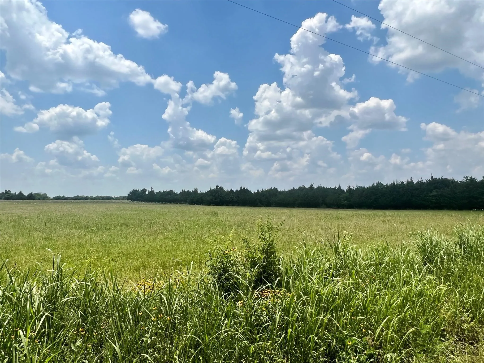 Unimproved Land For Sale in Lamar County , 3442 COUNTY ROAD 15100, Blossom, Texas 75416, 0, 0, Garage spaces, 0 Sqft, built in 0, mls#21362554, Real Estate Agent in Blossom, Homes For Sale in Lamar county, Homes For Sale in Blossom, Realtor in Blossom Texas, Real Estate Brokerage Independent Realty Texas, Luminita Cordes Realtor