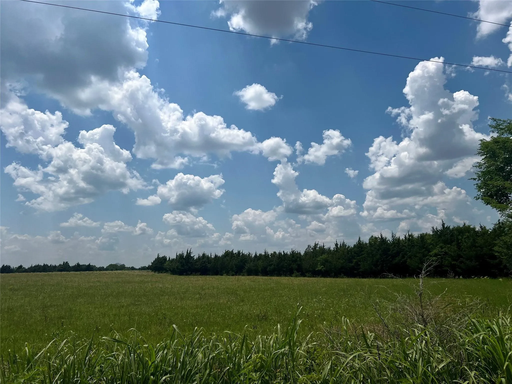 Unimproved Land For Sale in Lamar County , 3442 COUNTY ROAD 15100, Blossom, Texas 75416, 0, 0, Garage spaces, 0 Sqft, built in 0, mls#21362554, Real Estate Agent in Blossom, Homes For Sale in Lamar county, Homes For Sale in Blossom, Realtor in Blossom Texas, Real Estate Brokerage Independent Realty Texas, Luminita Cordes Realtor