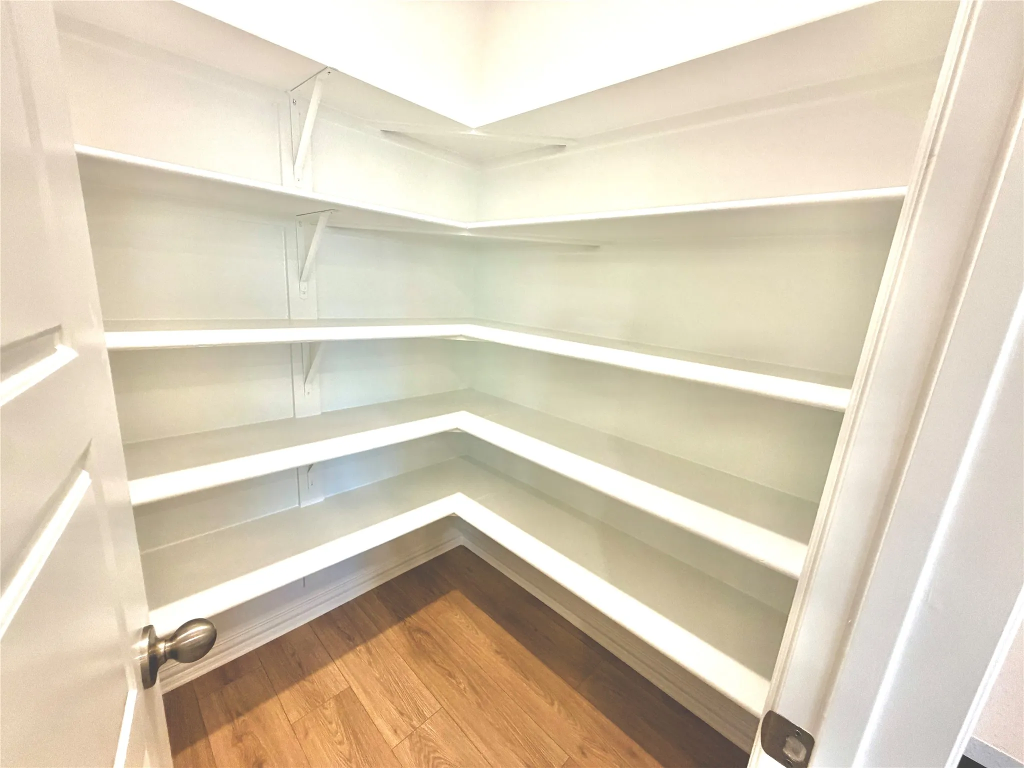 Walk-in pantry featuring abundant white shelving, wood-finish flooring, and a panel door