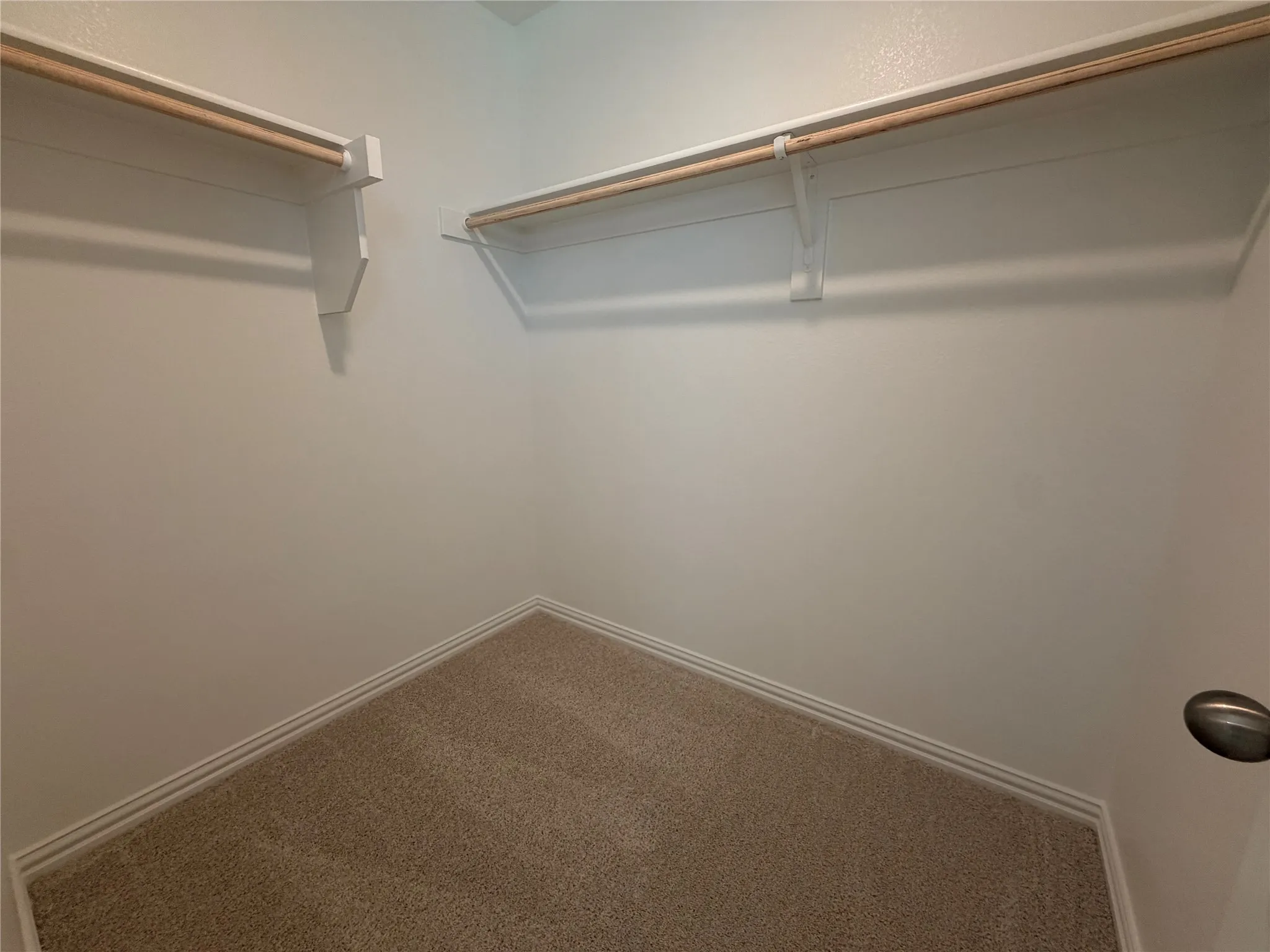 Walk-in closet featuring carpet flooring, crisp white walls, and built-in shelving with hanging rods