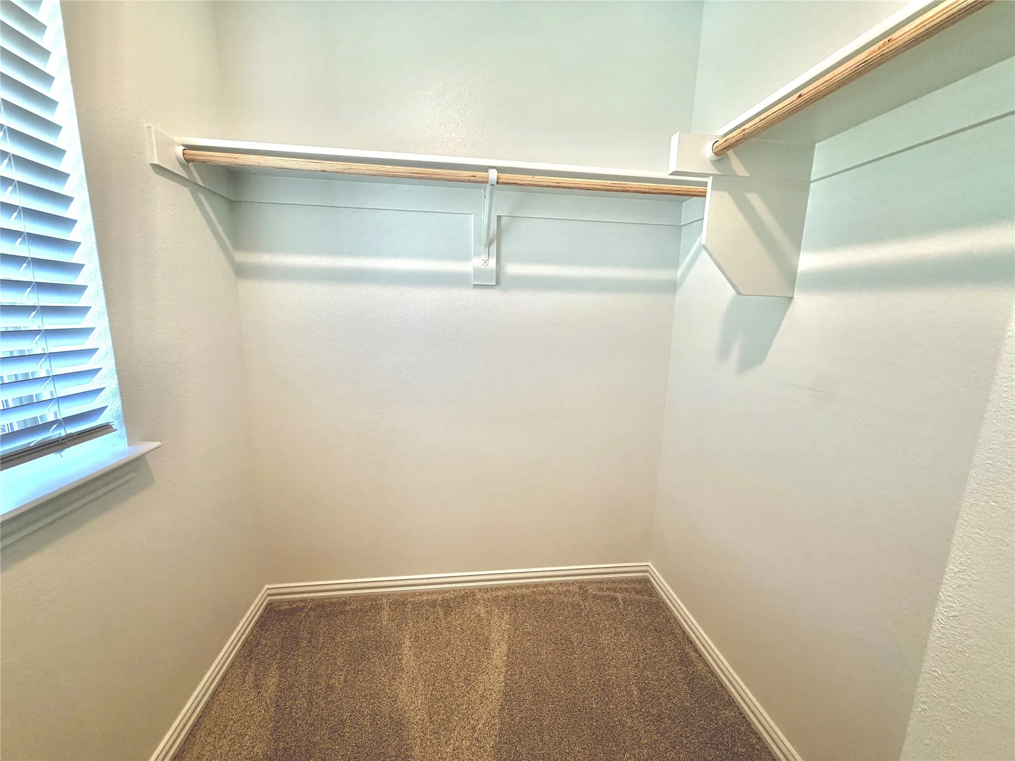 White walls, carpeted flooring, built-in shelving, and window with blinds