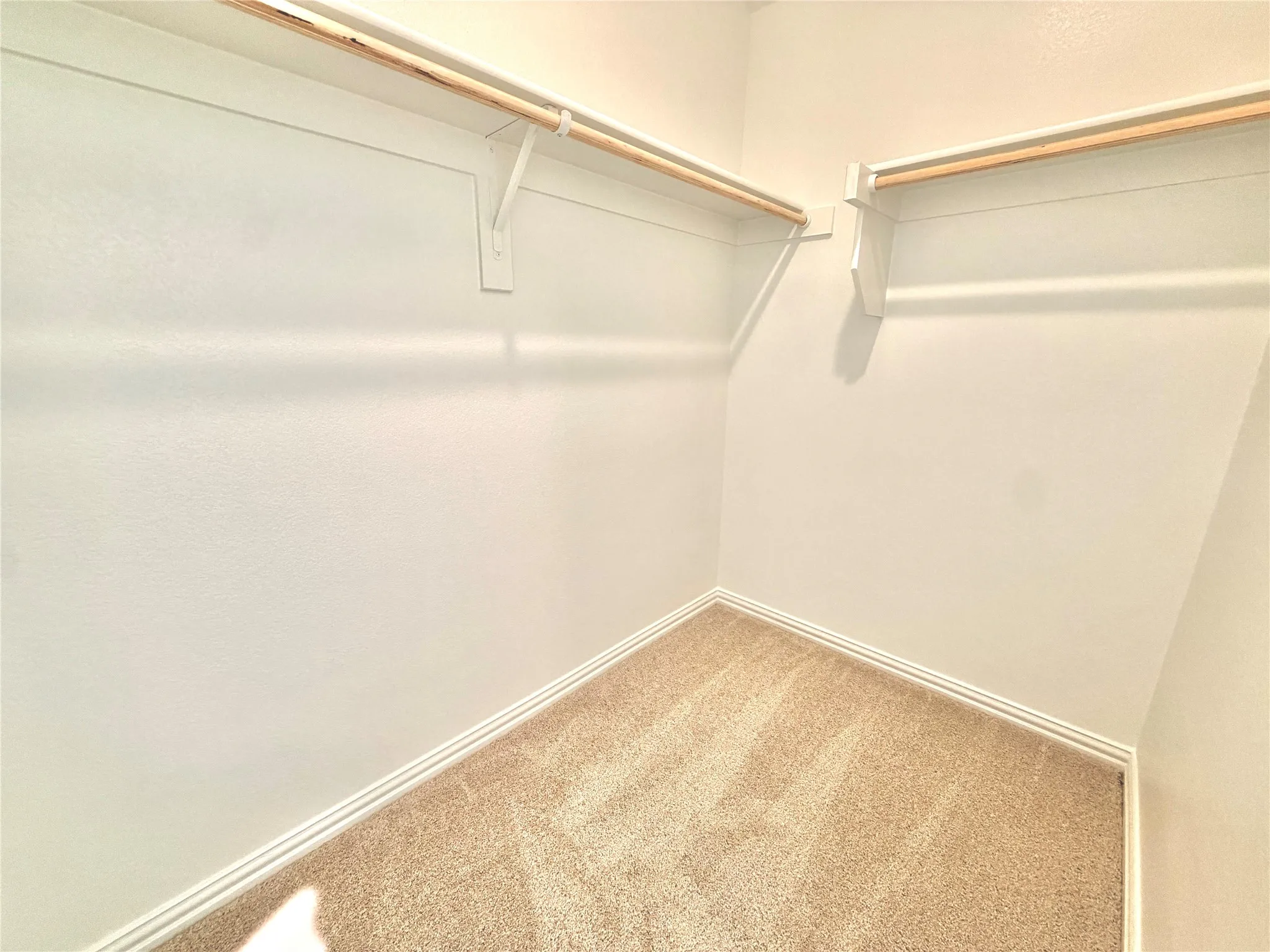Walk-in closet featuring built-in shelving, wood rods, and plush carpet flooring
