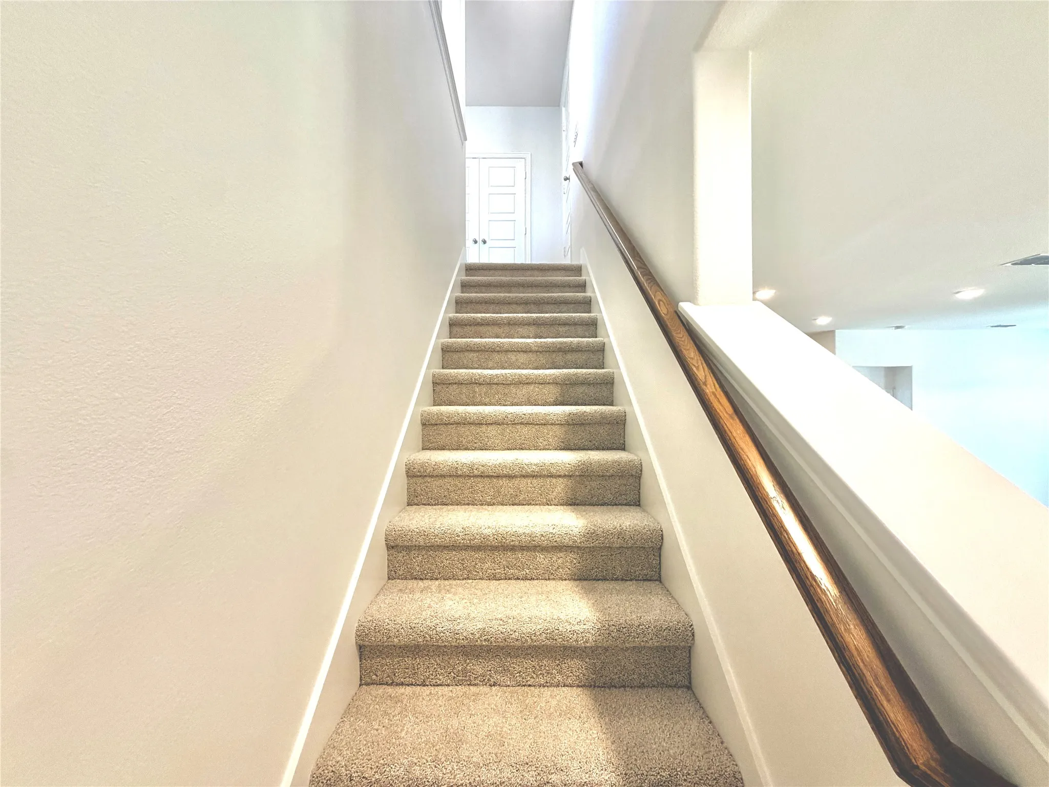 Carpeted staircase with a wood-finish handrail leading to a door with clear glass panels