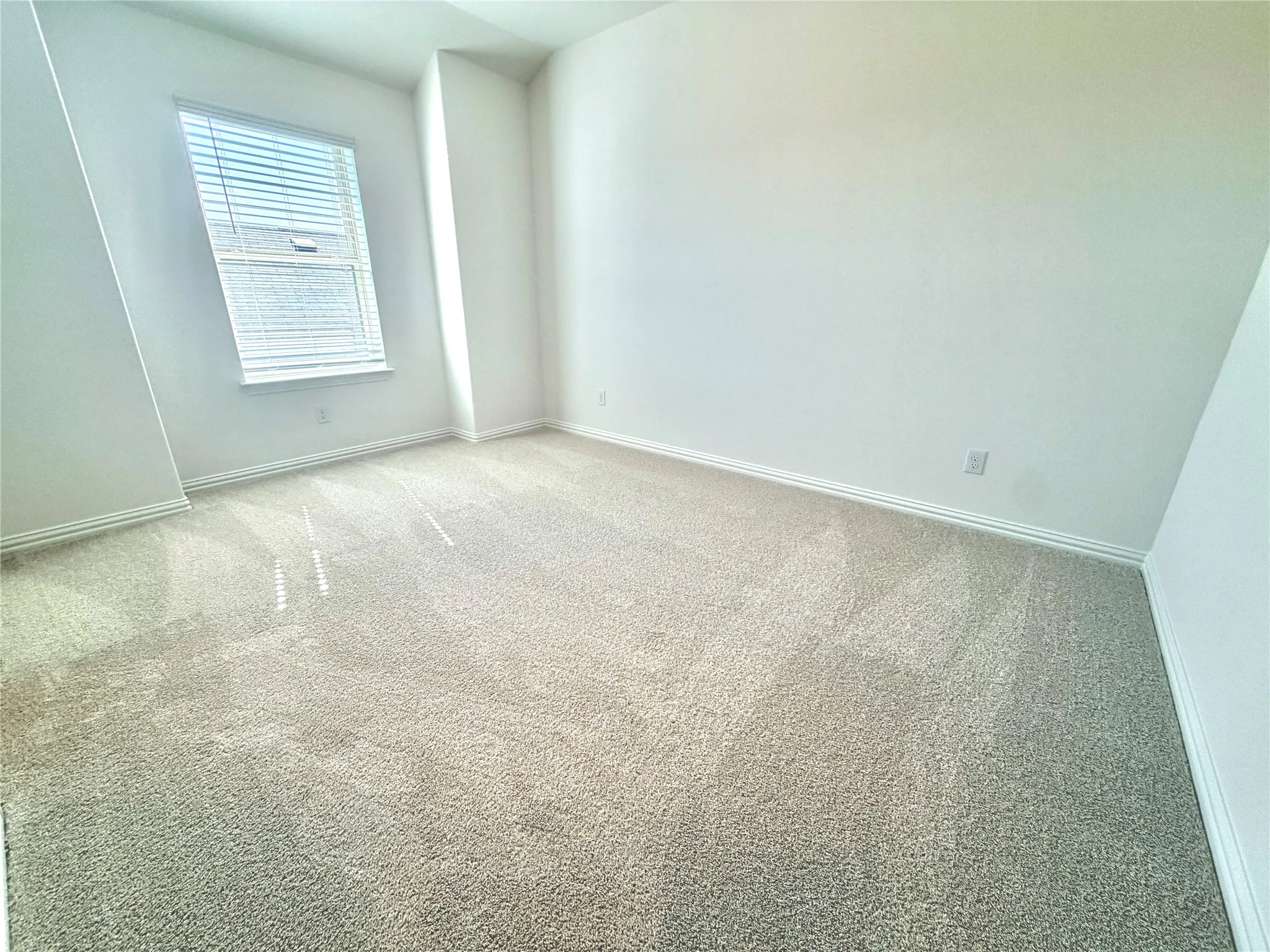 Neutral tone wall finish and plush carpet flooring