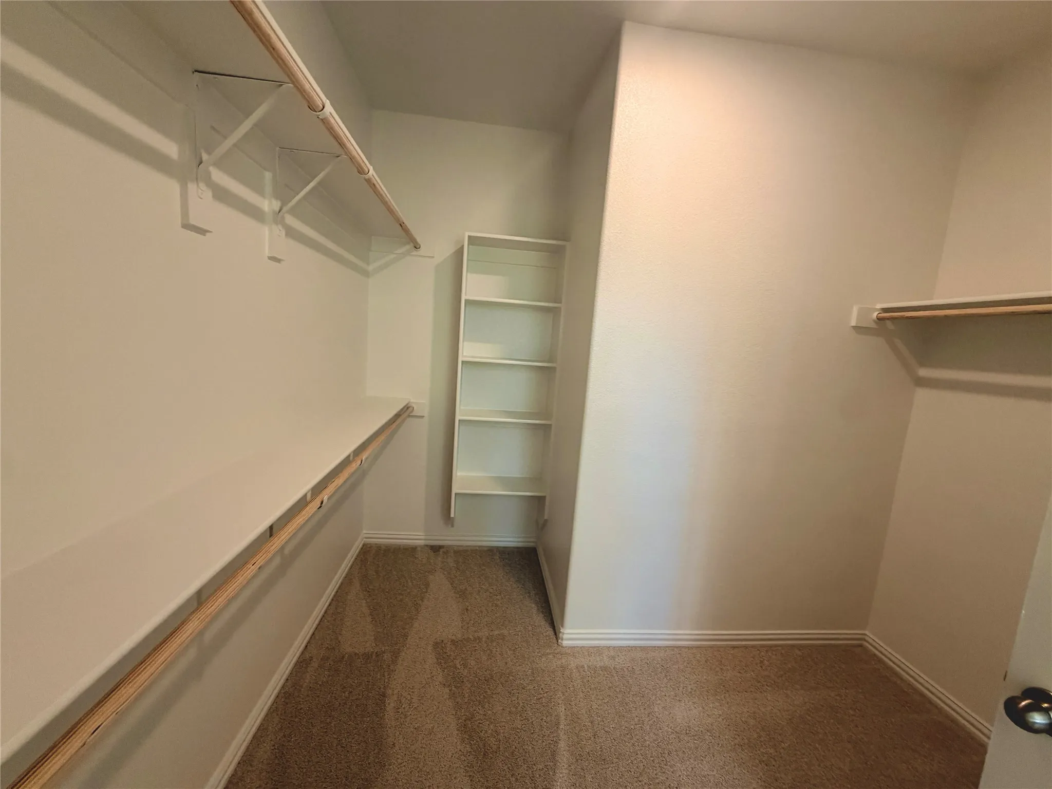Carpeted walk-in closet featuring extensive shelving and hanging rods