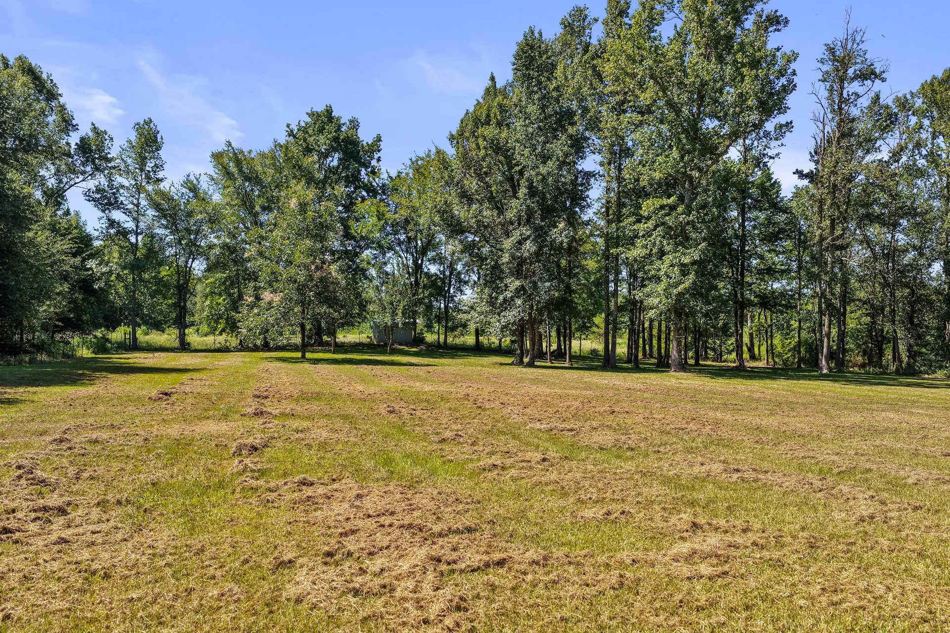 Single Family Residence For Sale in Titus County , 522 CR 4245, Mt Pleasant, Texas 75455, 3 Bedroom, 2 Bathroom, Garage spaces, 1,856 Sqft, built in 2007, mls#21362817, Real Estate Agent in Mt Pleasant, Homes For Sale in Titus county, Homes For Sale in Mt Pleasant, Realtor in Mt Pleasant Texas, Real Estate Brokerage Independent Realty Texas, Luminita Cordes Realtor