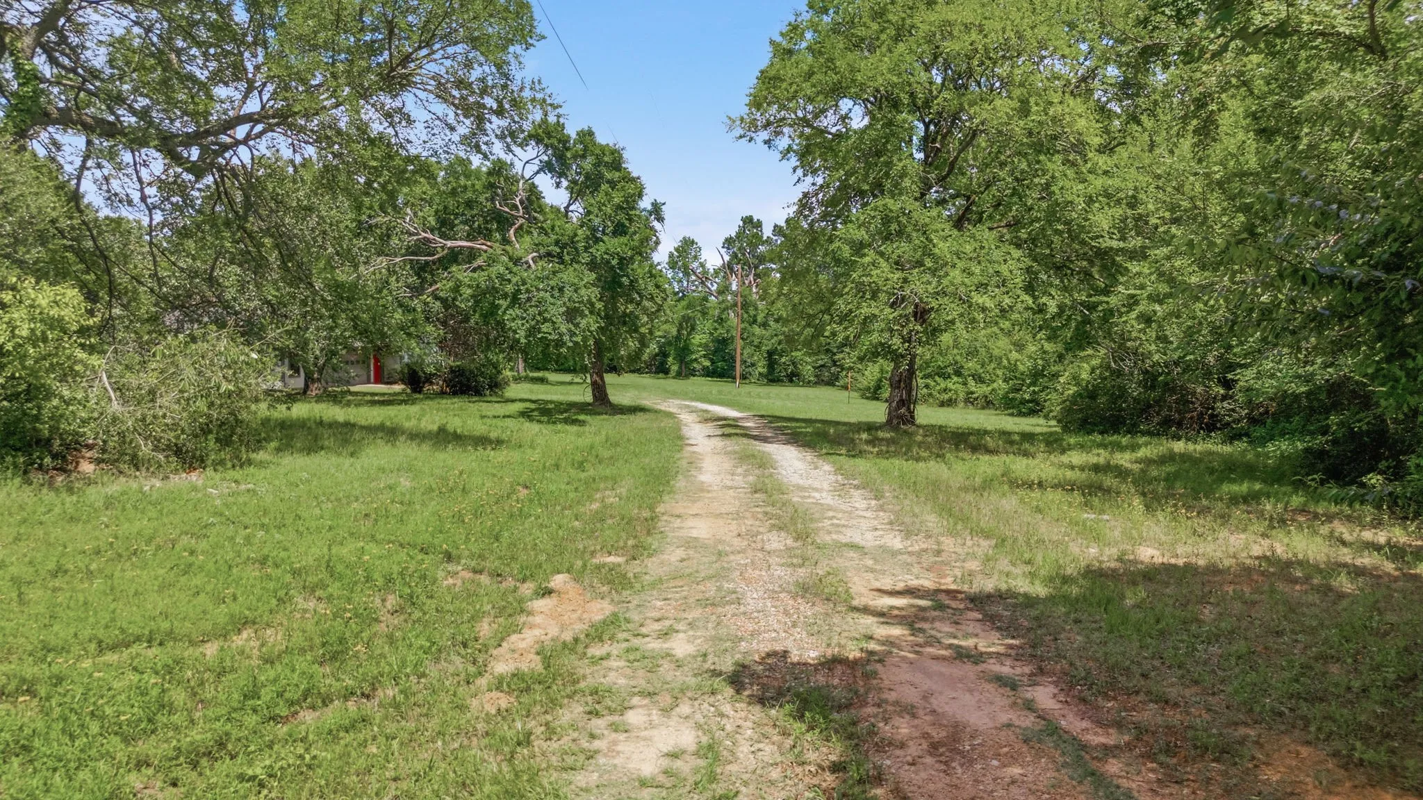 Gravel driveway surrounded by mature trees and natural landscaping