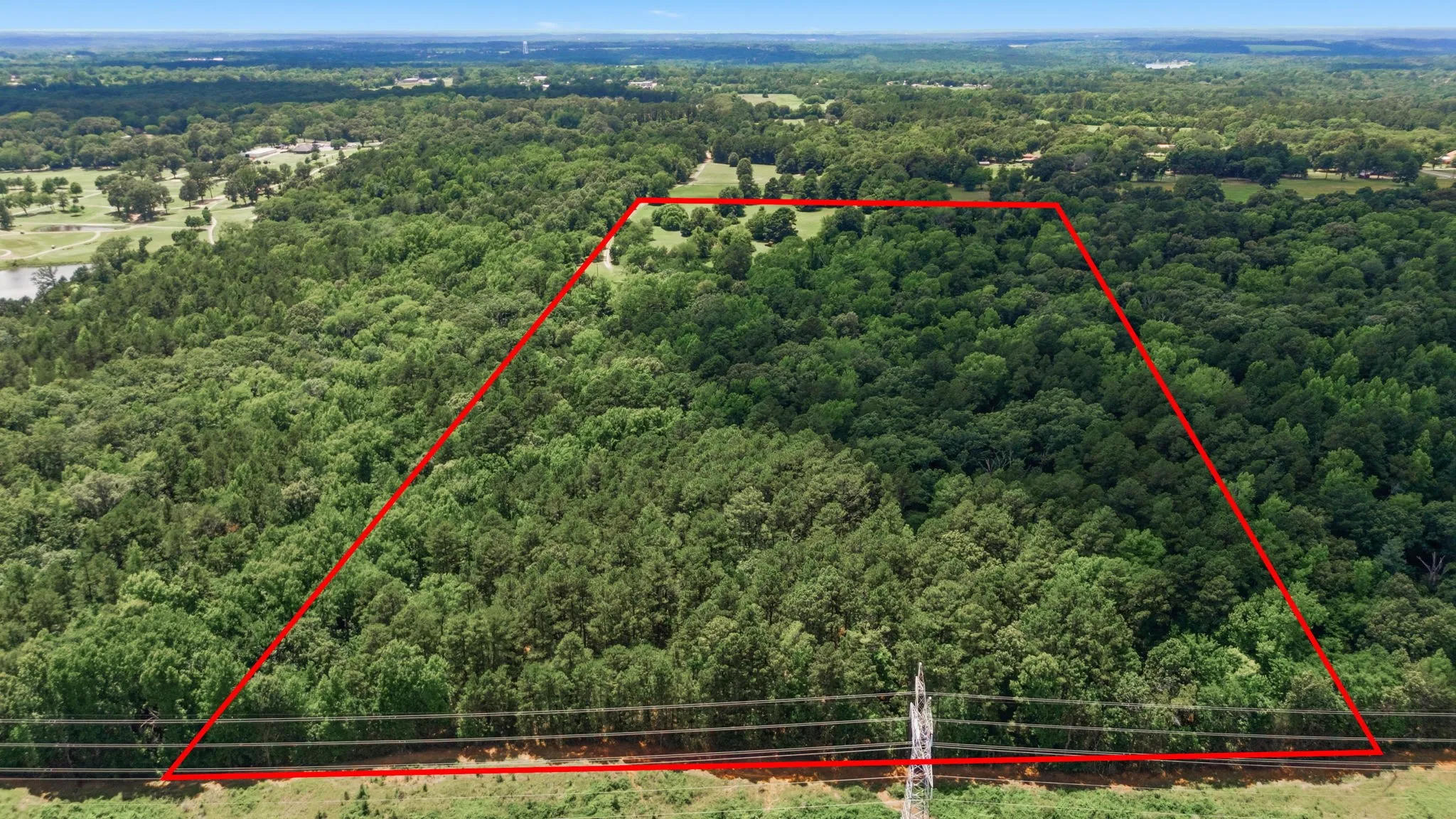 Wooded acreage with varied tree coverage