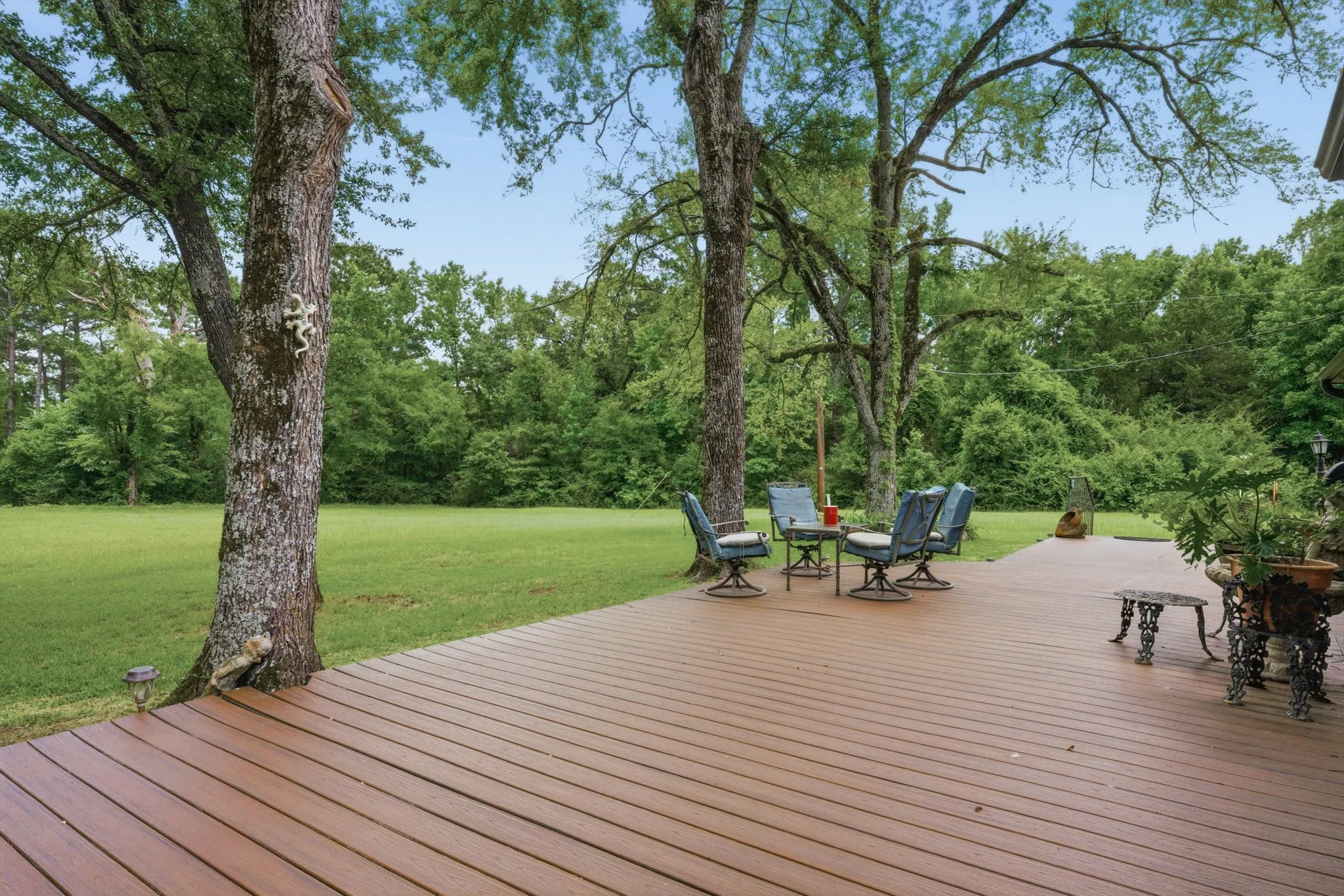 Expansive wood-finish deck with a spacious lawn and mature trees
