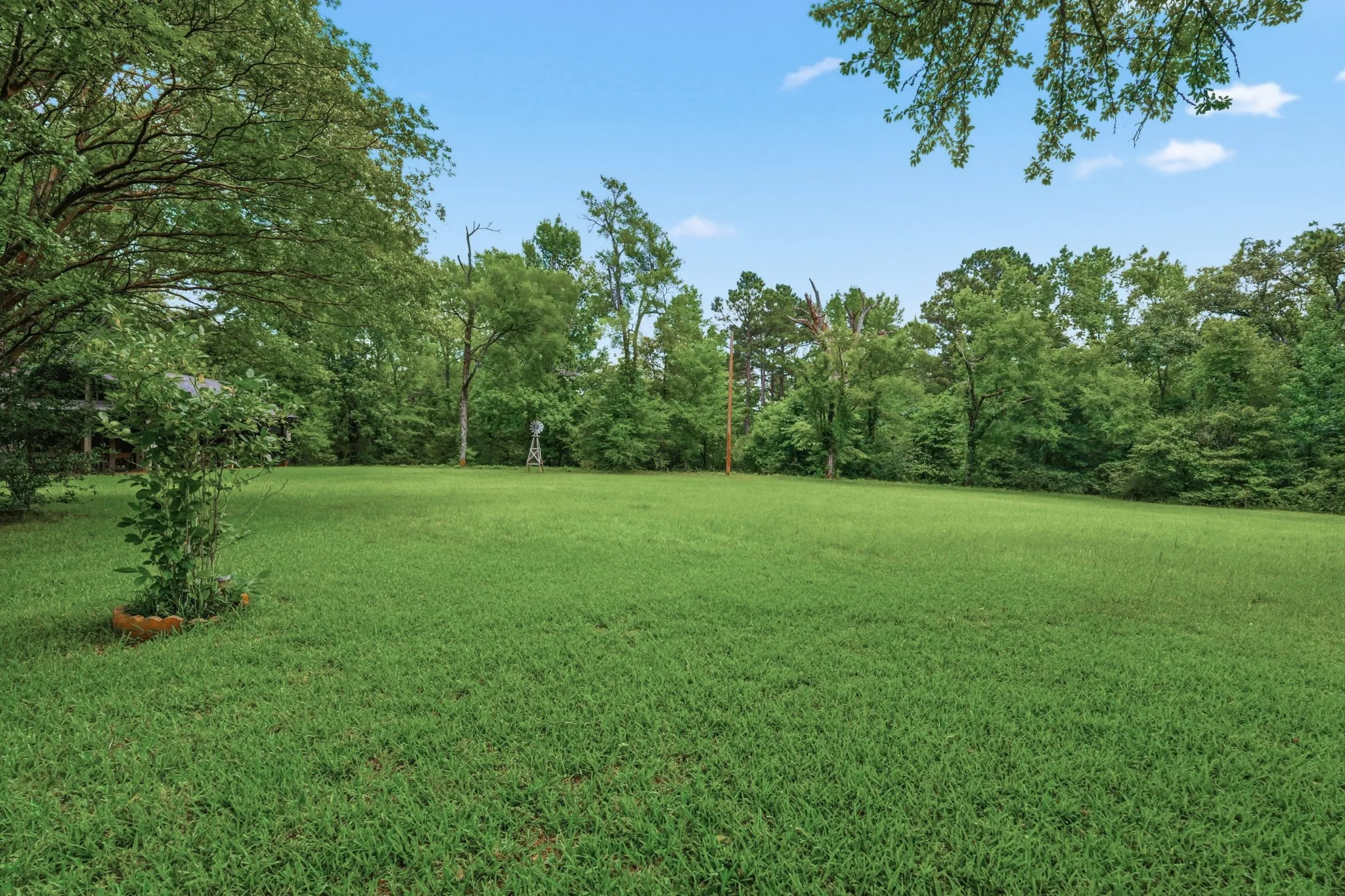 Expansive green lawn with surrounding mature trees and clear sky