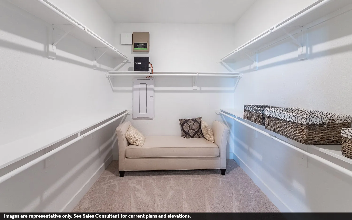 Carpeted flooring with extensive built-in shelving, and multiple hanging rods