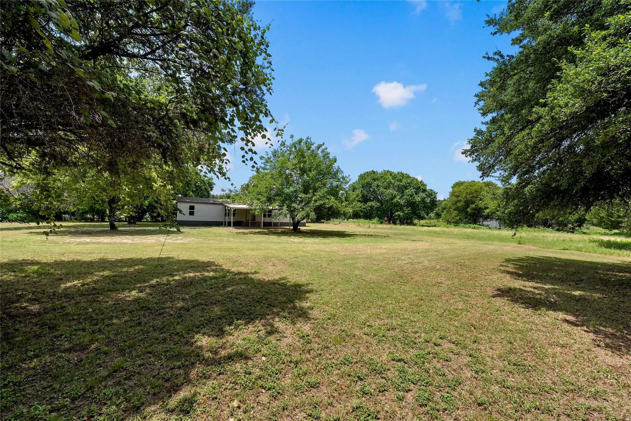 Expansive grassed yard with mature trees