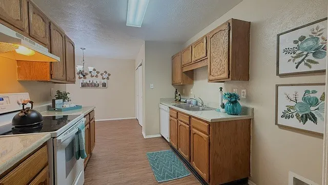 Single Family Residence For Rent in Tarrant County , 7524 Blue Sage Circle, Fort Worth, Texas 76123, 3 Bedroom, 2 Bathroom, 2 Garage spaces, 1,528 Sqft, built in 1985, mls#21363187, Real Estate Agent in Fort Worth, Homes For Rent in Tarrant county, Homes For Rent in Fort Worth, Realtor in Fort Worth Texas, Real Estate Brokerage Independent Realty Texas, Luminita Cordes Realtor