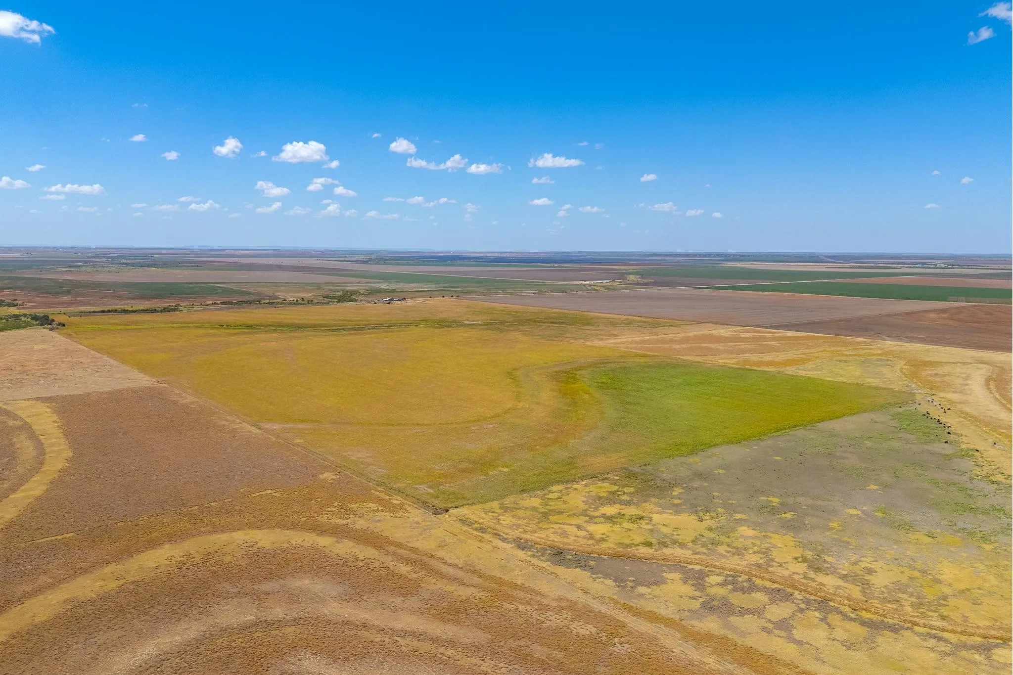Improved Land For Sale in Jones County , TBD CR 168, Anson, Texas 79501, 0, 0, Garage spaces, 0 Sqft, built in 0, mls#21361866, Real Estate Agent in Anson, Homes For Sale in Jones county, Homes For Sale in Anson, Realtor in Anson Texas, Real Estate Brokerage Independent Realty Texas, Luminita Cordes Realtor