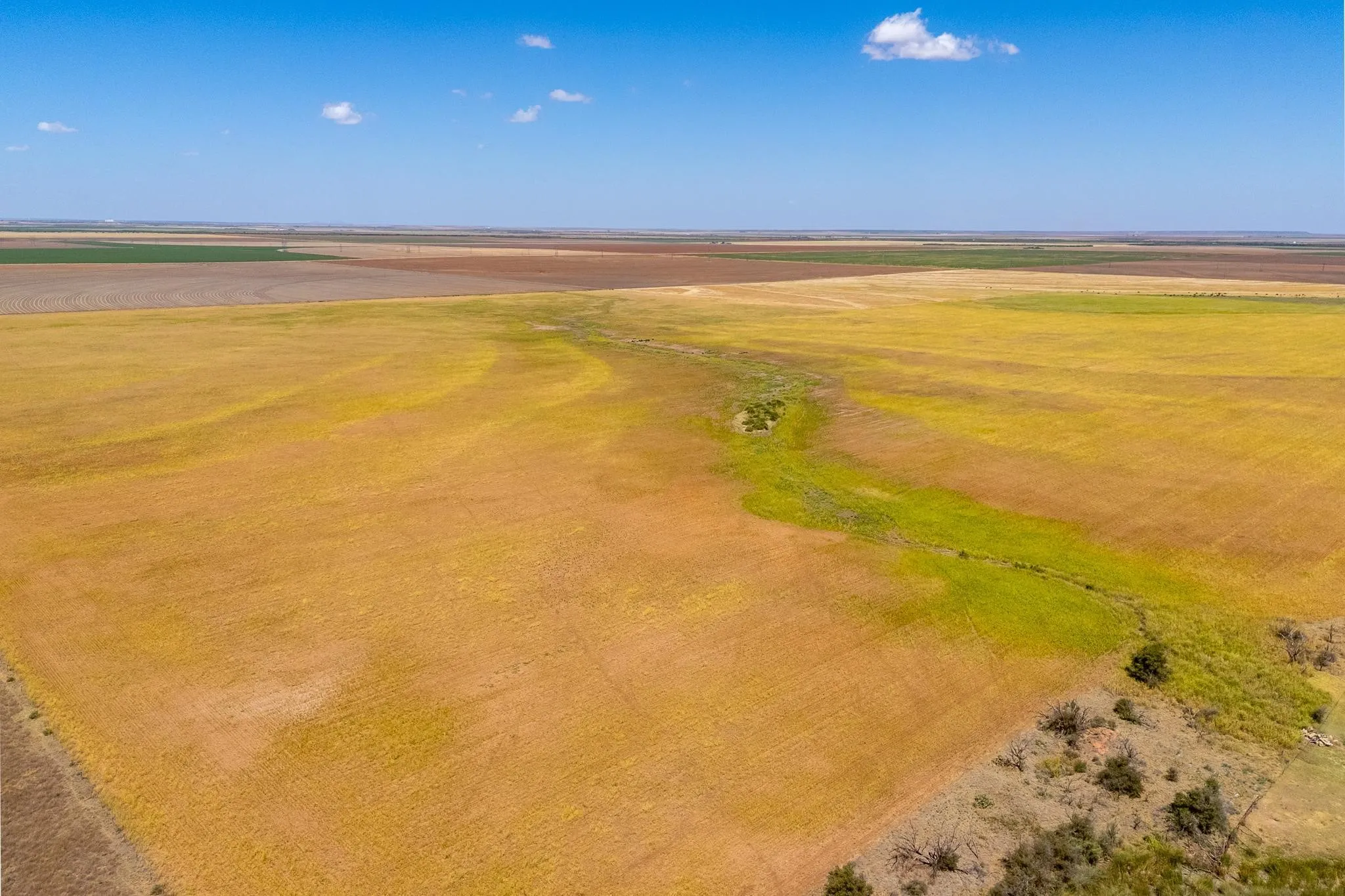Improved Land For Sale in Jones County , TBD CR 168, Anson, Texas 79501, 0, 0, Garage spaces, 0 Sqft, built in 0, mls#21361866, Real Estate Agent in Anson, Homes For Sale in Jones county, Homes For Sale in Anson, Realtor in Anson Texas, Real Estate Brokerage Independent Realty Texas, Luminita Cordes Realtor