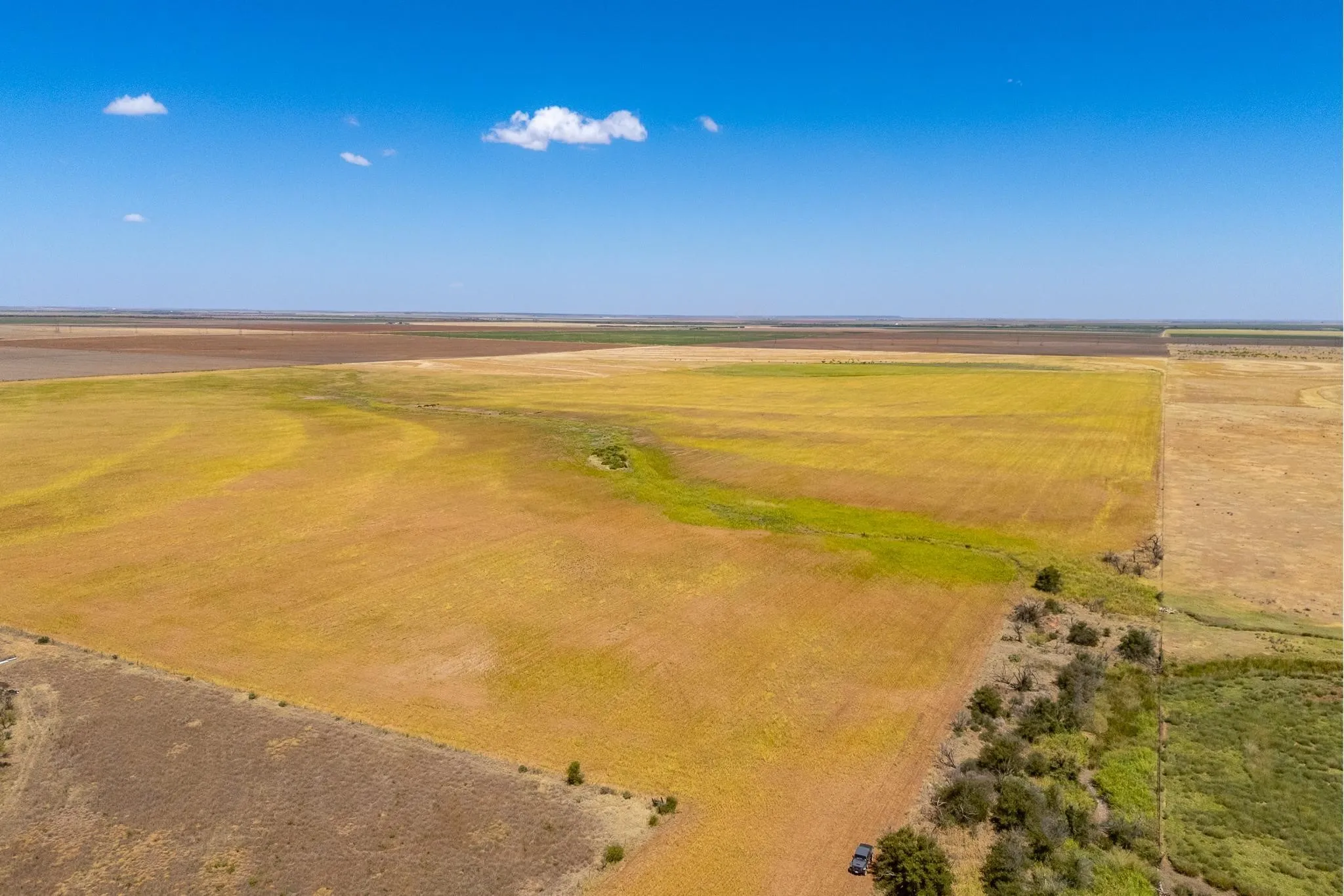 Improved Land For Sale in Jones County , TBD CR 168, Anson, Texas 79501, 0, 0, Garage spaces, 0 Sqft, built in 0, mls#21361866, Real Estate Agent in Anson, Homes For Sale in Jones county, Homes For Sale in Anson, Realtor in Anson Texas, Real Estate Brokerage Independent Realty Texas, Luminita Cordes Realtor