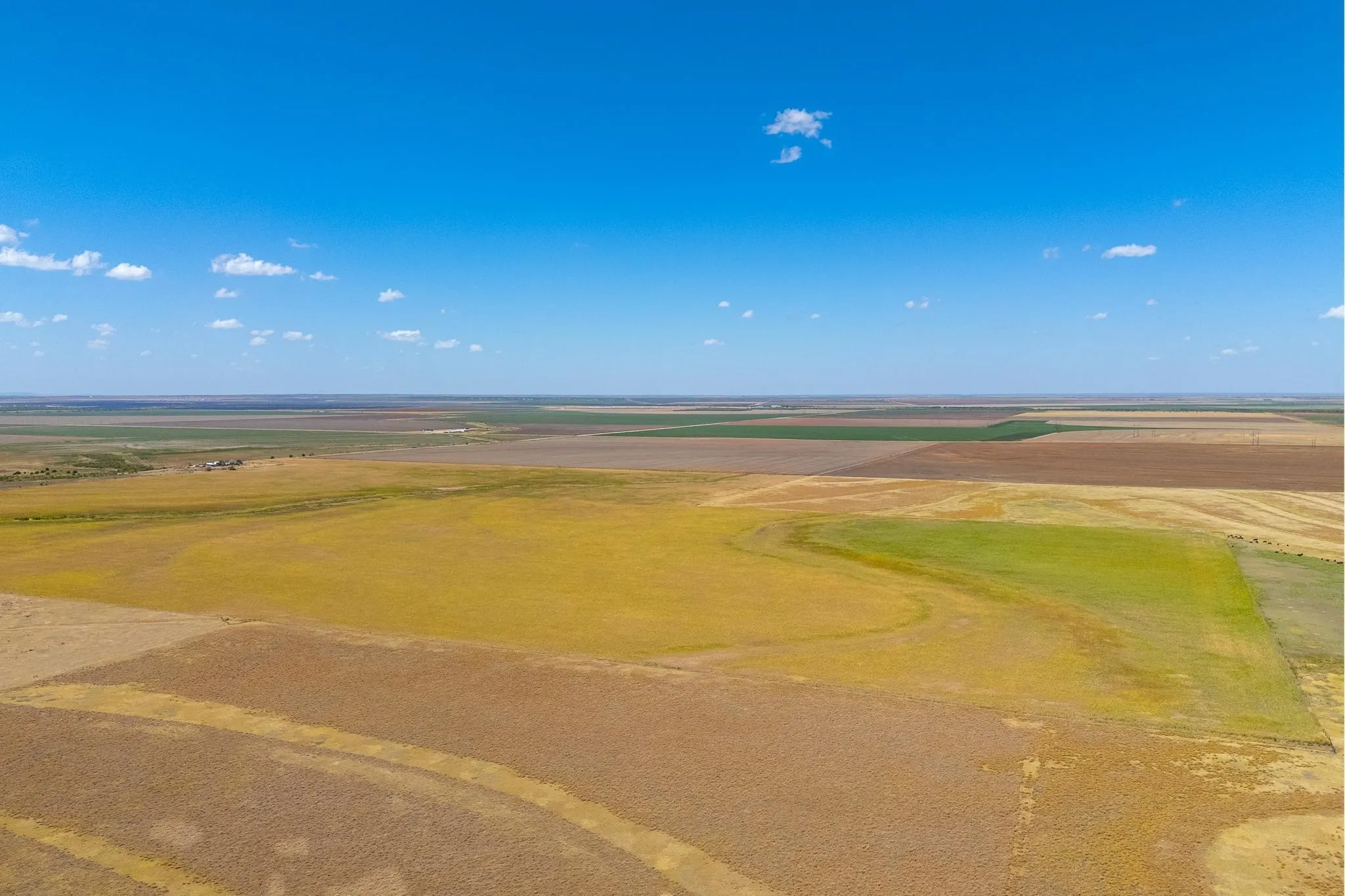 Improved Land For Sale in Jones County , TBD CR 168, Anson, Texas 79501, 0, 0, Garage spaces, 0 Sqft, built in 0, mls#21361866, Real Estate Agent in Anson, Homes For Sale in Jones county, Homes For Sale in Anson, Realtor in Anson Texas, Real Estate Brokerage Independent Realty Texas, Luminita Cordes Realtor
