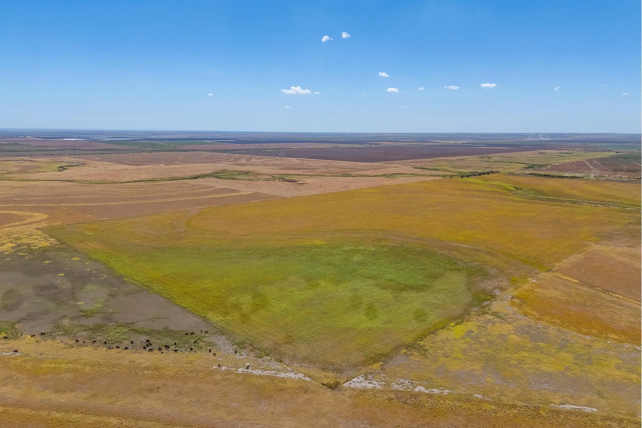 Improved Land For Sale in Jones County , TBD CR 168, Anson, Texas 79501, 0, 0, Garage spaces, 0 Sqft, built in 0, mls#21361866, Real Estate Agent in Anson, Homes For Sale in Jones county, Homes For Sale in Anson, Realtor in Anson Texas, Real Estate Brokerage Independent Realty Texas, Luminita Cordes Realtor