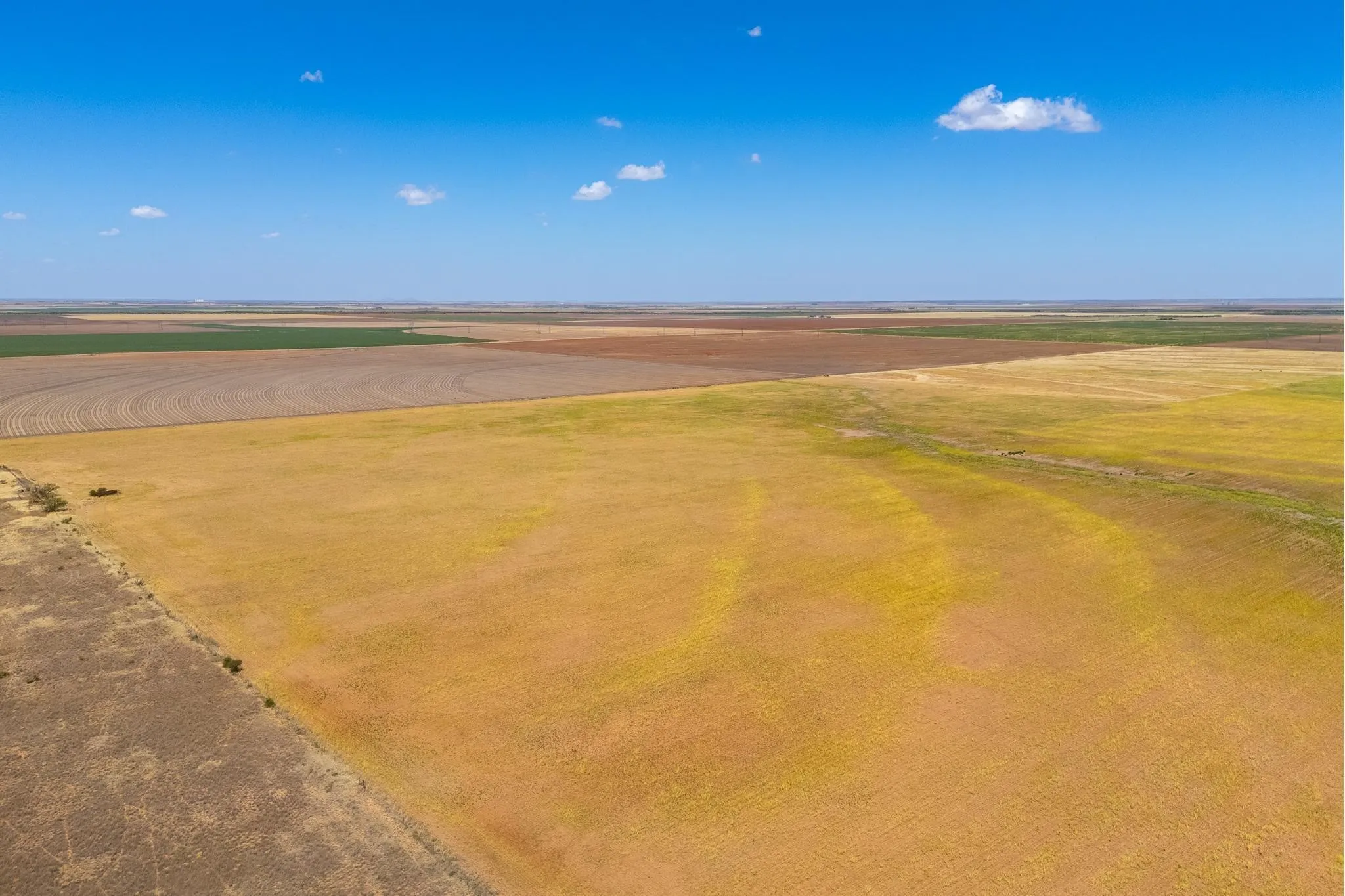 Improved Land For Sale in Jones County , TBD CR 168, Anson, Texas 79501, 0, 0, Garage spaces, 0 Sqft, built in 0, mls#21361866, Real Estate Agent in Anson, Homes For Sale in Jones county, Homes For Sale in Anson, Realtor in Anson Texas, Real Estate Brokerage Independent Realty Texas, Luminita Cordes Realtor